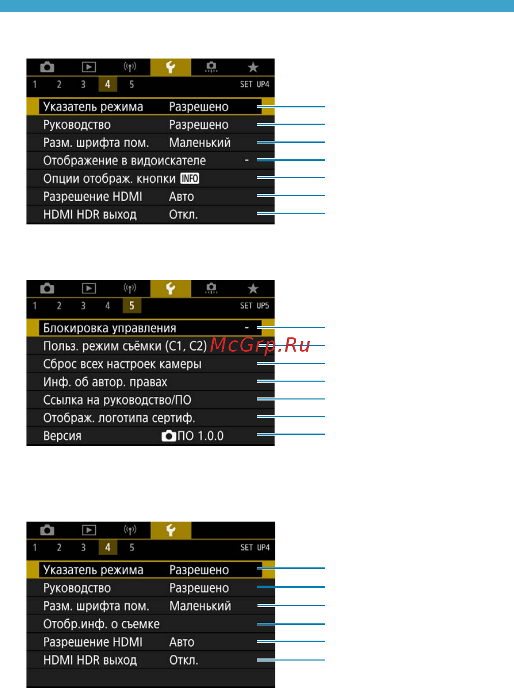 Canon EOS 90D Body [503/648] При съемке в режиме live view для вкладки