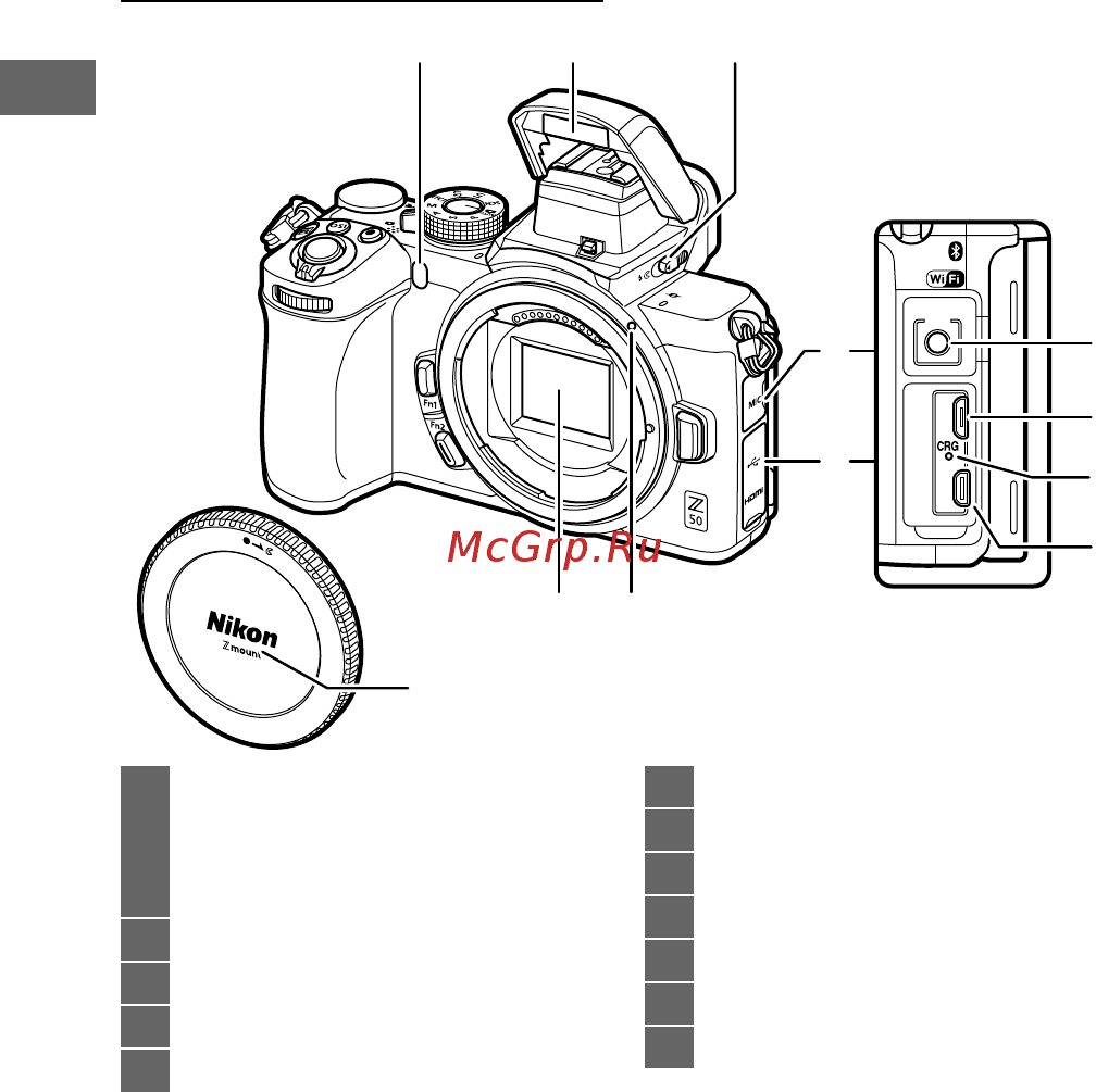 Nikon Z 50 + NIKKOR Z DX 16-50mm VR + FTZ [18/80] Корпус фотокамеры продолжение