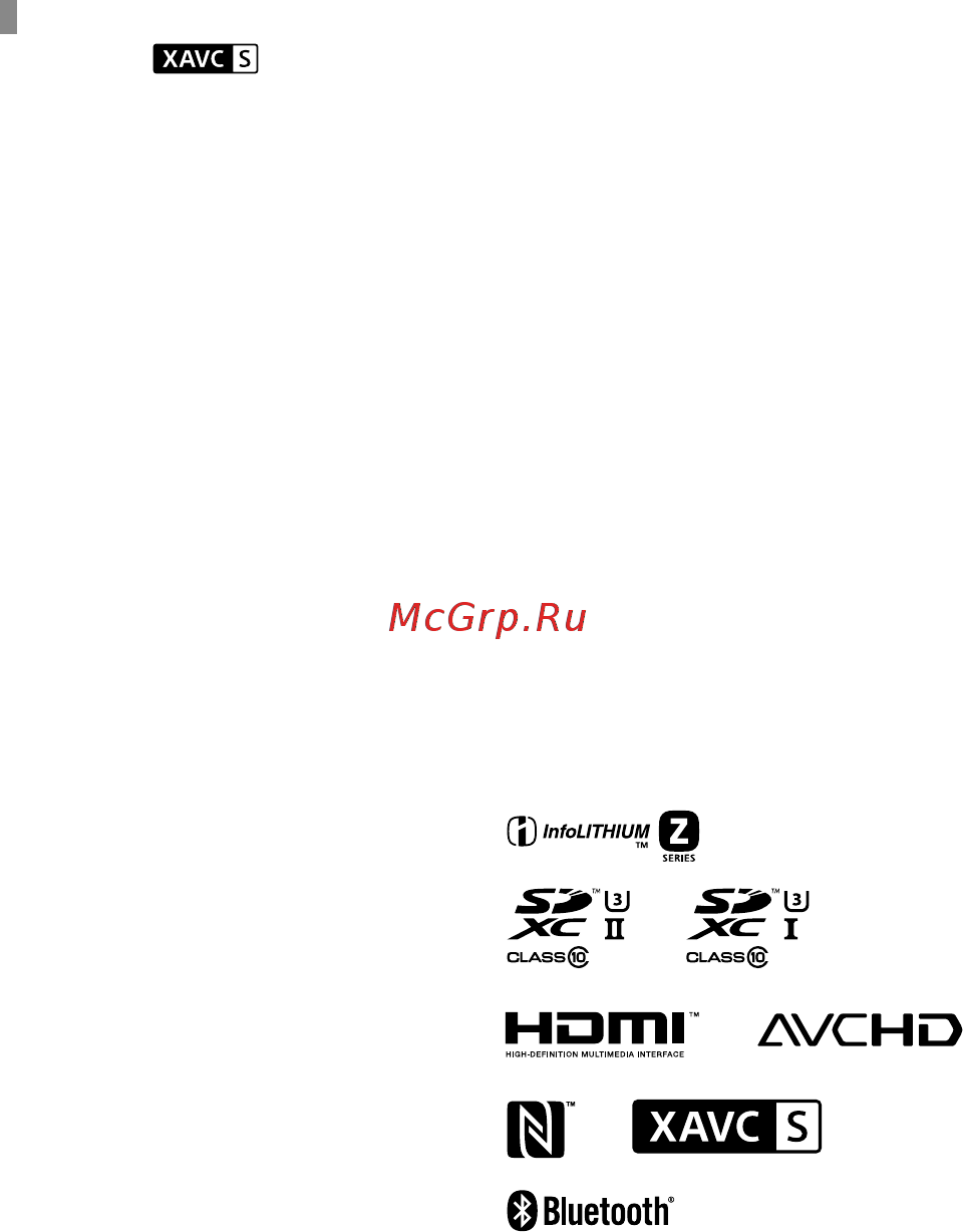 Sony A7R Mark IV Body (ILCE-7RM4) [652/679] Varemerker