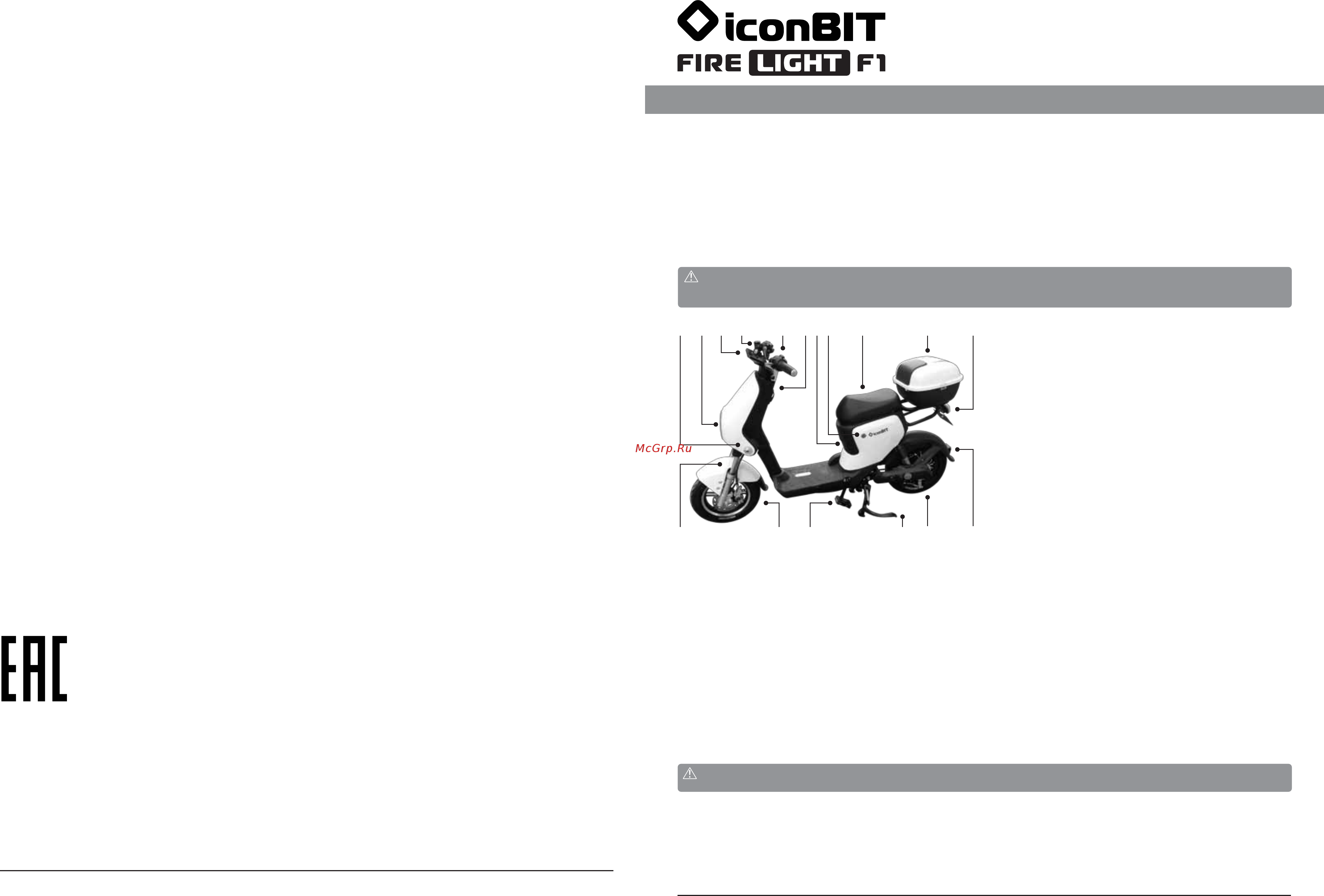Iconbit FireLight F1 (IB-2005W) Инструкция по эксплуатации онлайн