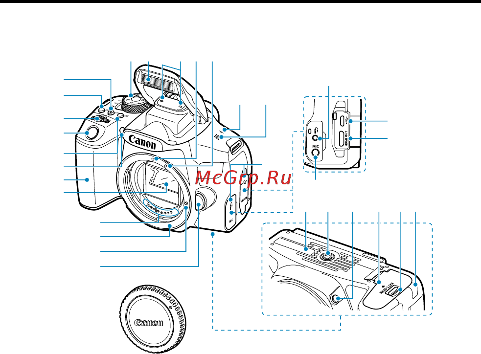 Canon EOS 850D Body [28/809] Названия компонентов