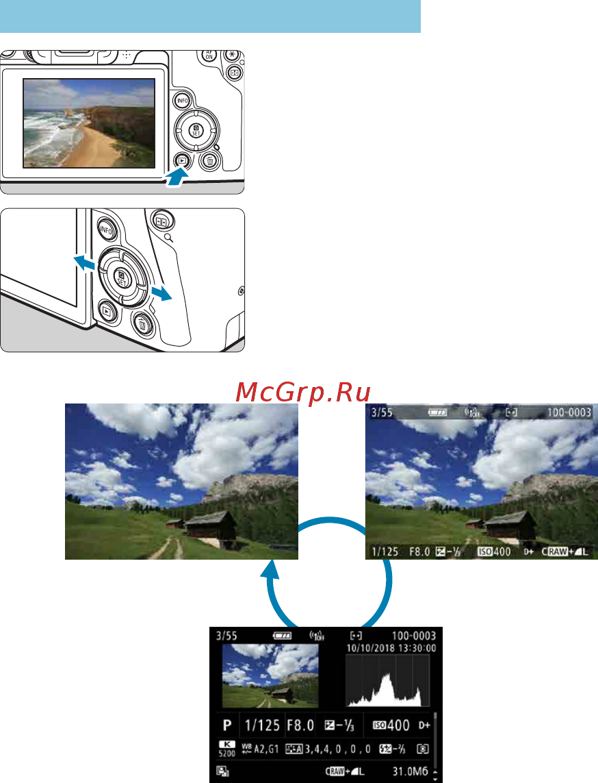 Canon EOS RP RF 24-105 F4-7.1 IS STM [296/614] Просмотр изображений