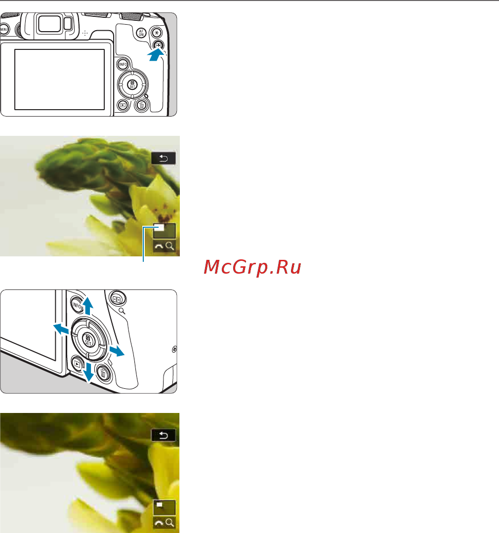 Canon EOS RP RF 24-105 F4-7.1 IS STM [299/614] Увеличение изображений