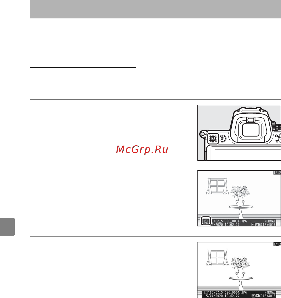 Nikon Z 5 Body Black [40/78] Просмотр