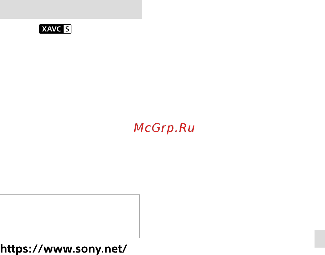Sony Alpha 7C Black Kit FE 28-60mm F/4-5.6 [61/171] Marchi di fabbrica