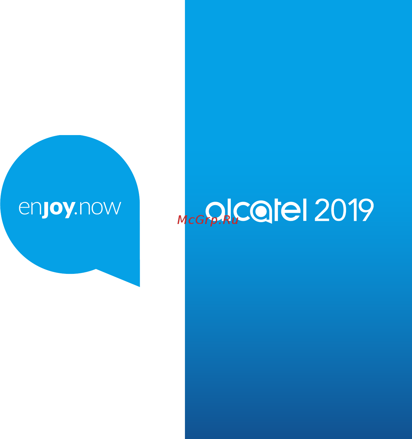 Alcatel 2019G Silver Инструкция по эксплуатации онлайн