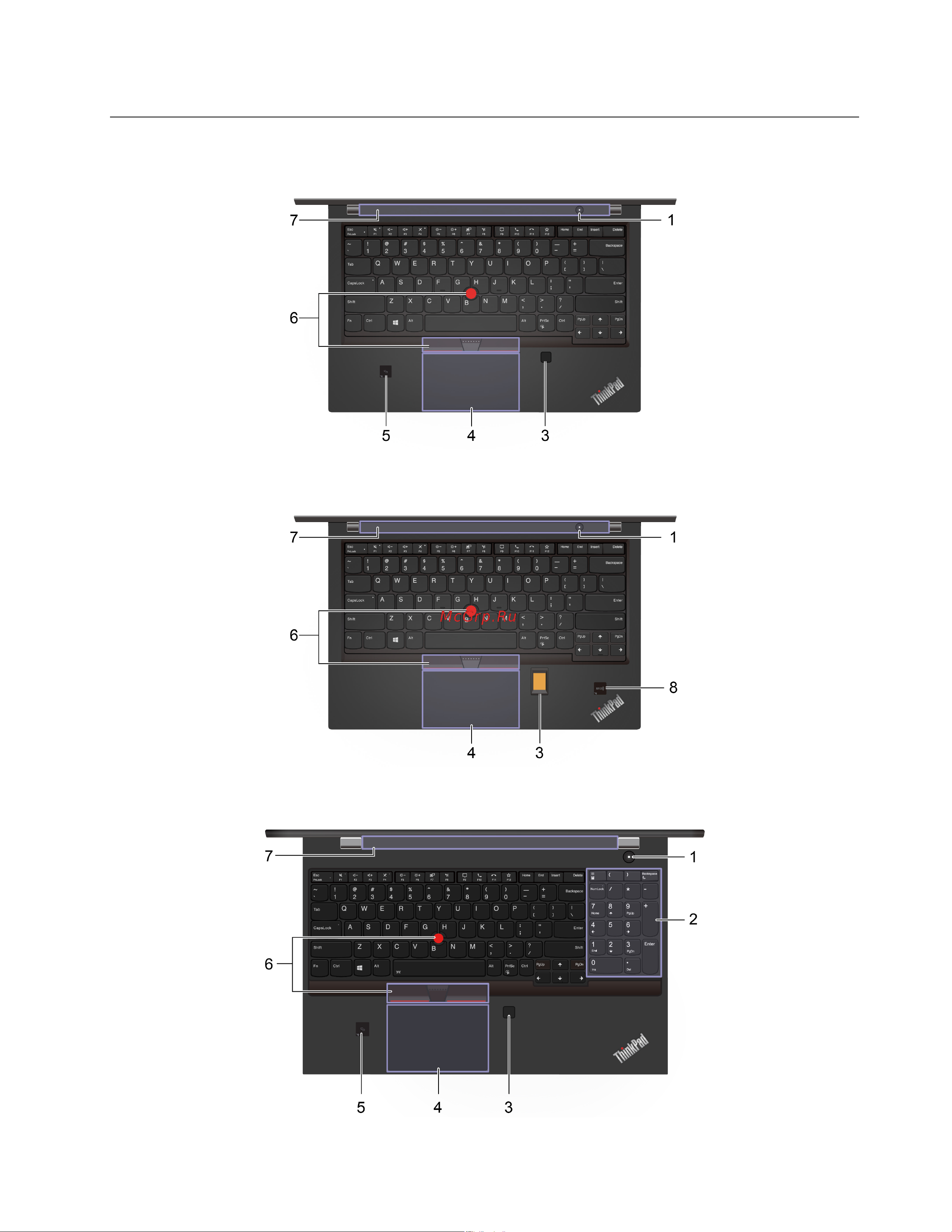 Lenovo ThinkPad P14s Gen 1 (20S40011RT) [9/138] Вид основания