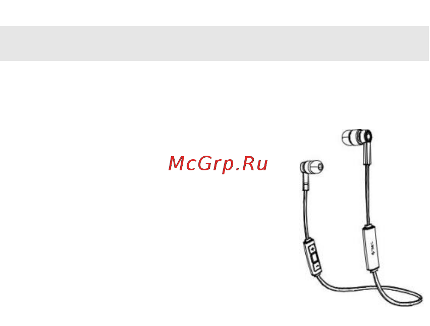 TTEC Soundbeat Wireless (2KM110) [2/43] Спасибо