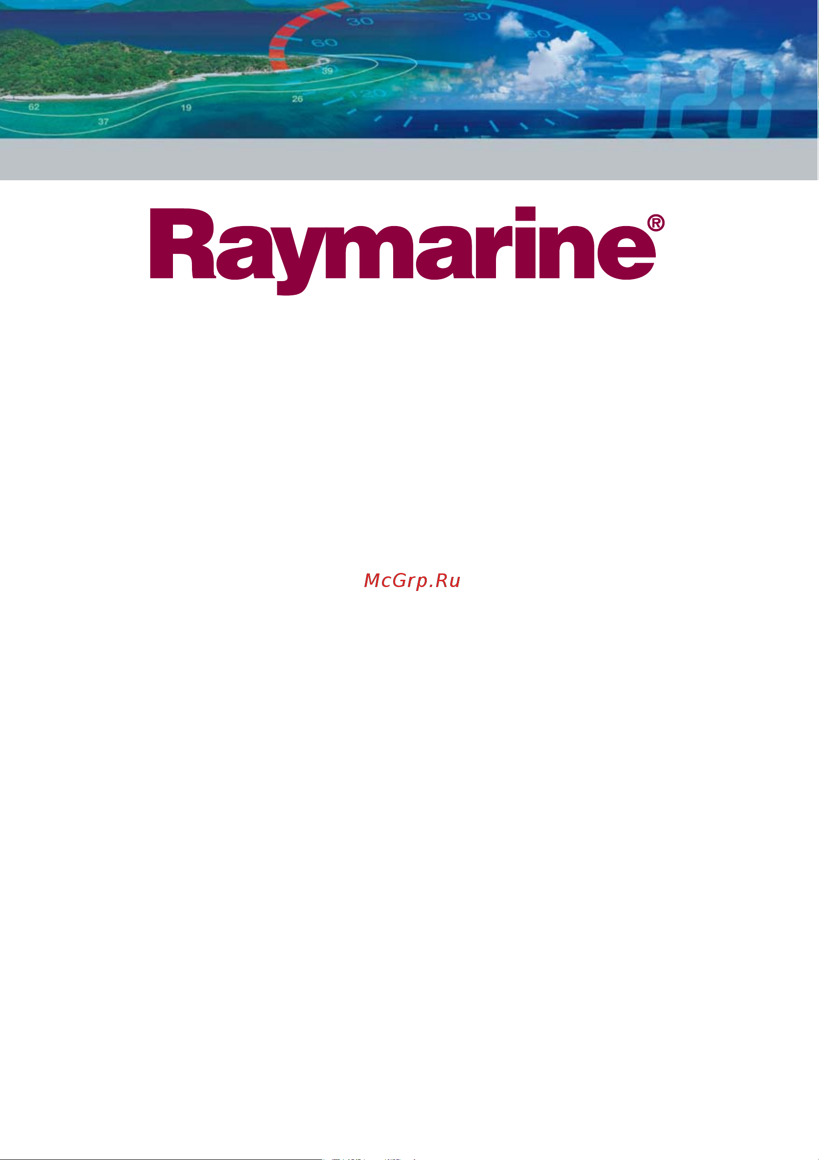 Raymarine Ray101E Е43028 [64/64] Raymarine