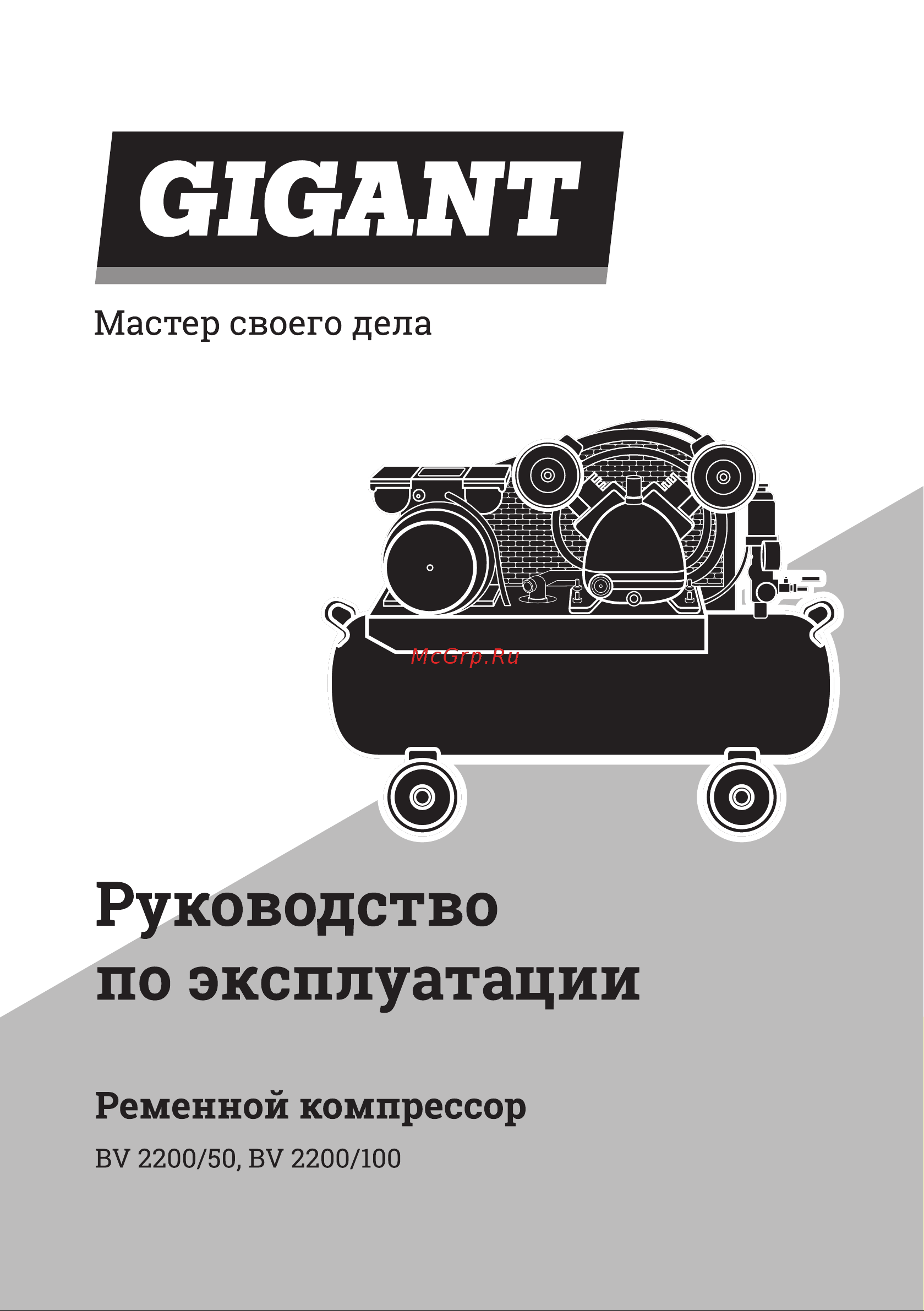 Gigant BV2200/50 Инструкция по эксплуатации онлайн