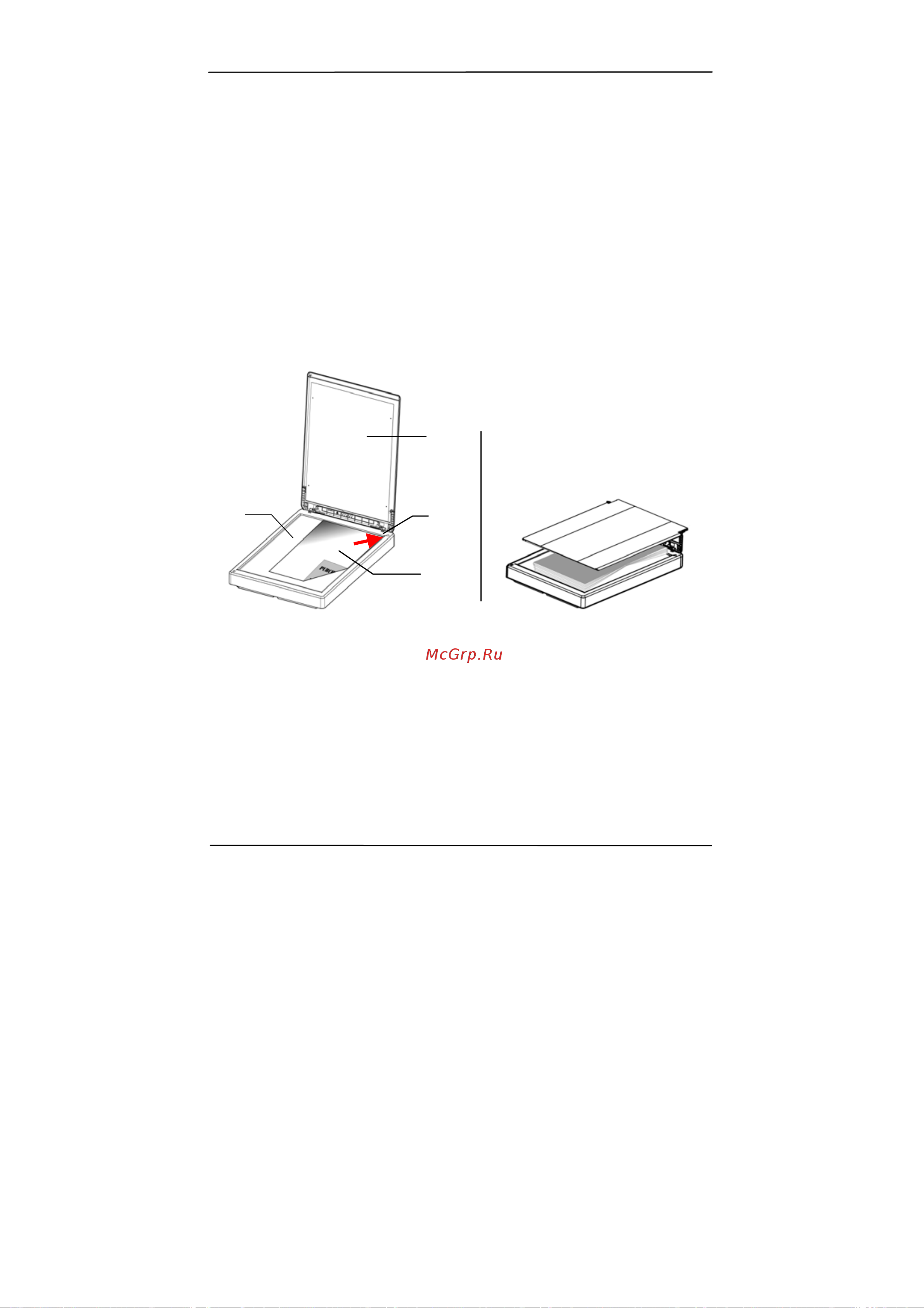 Avision FB10 [15/105] Первое сканирование