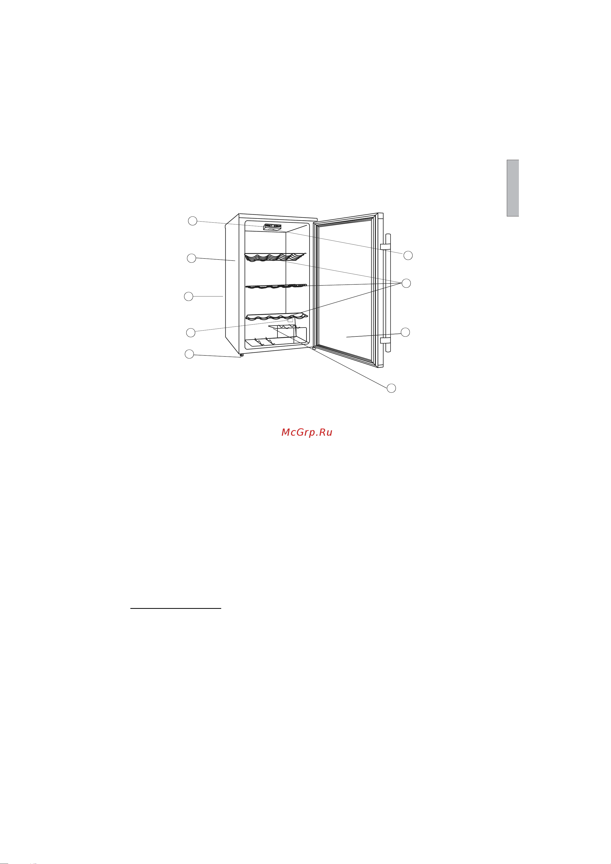 Candy CCV 200 GL [85/125] P r i componente i caracteristici