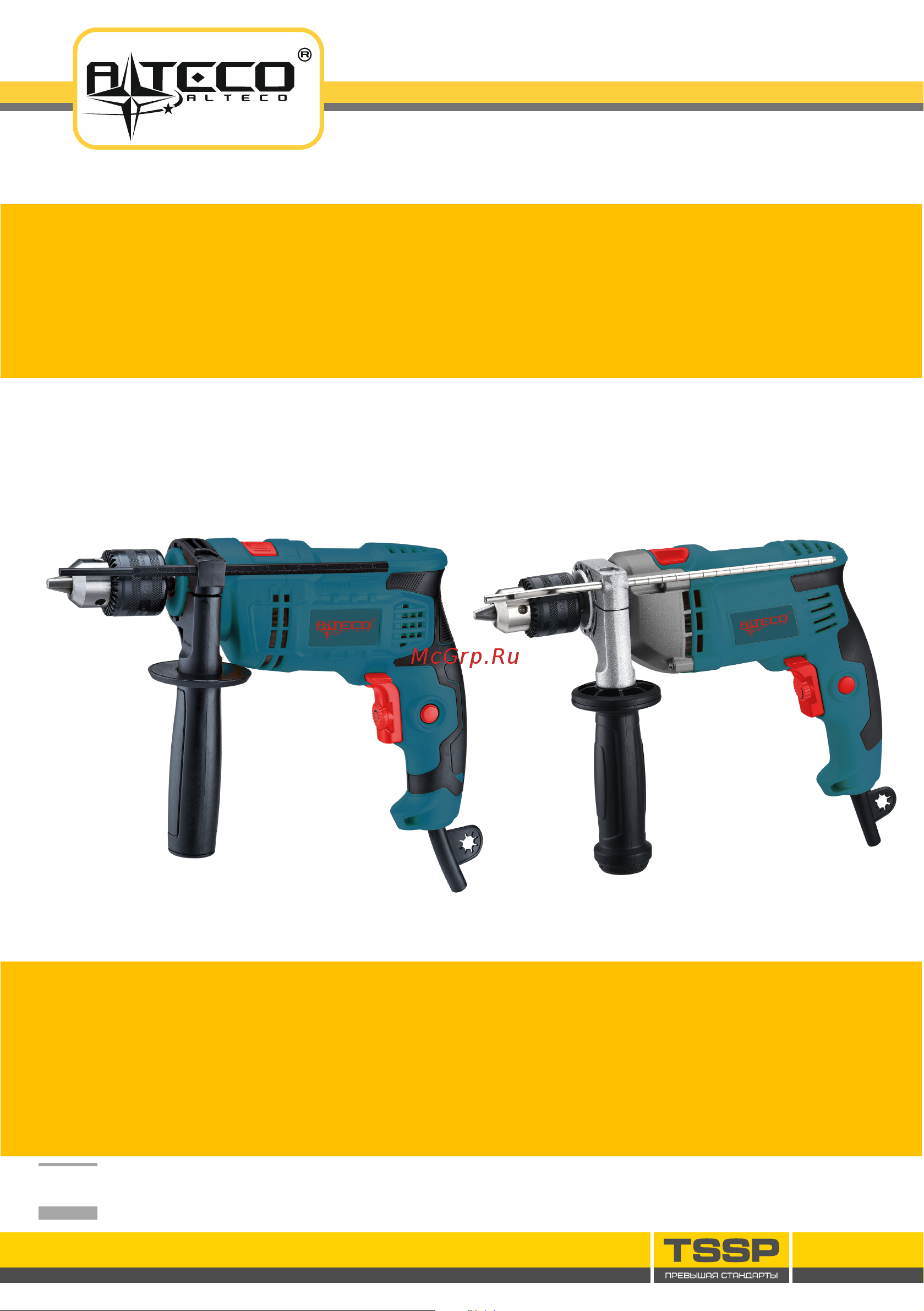 Alteco DP 800-13.1 22980 Инструкция по эксплуатации онлайн