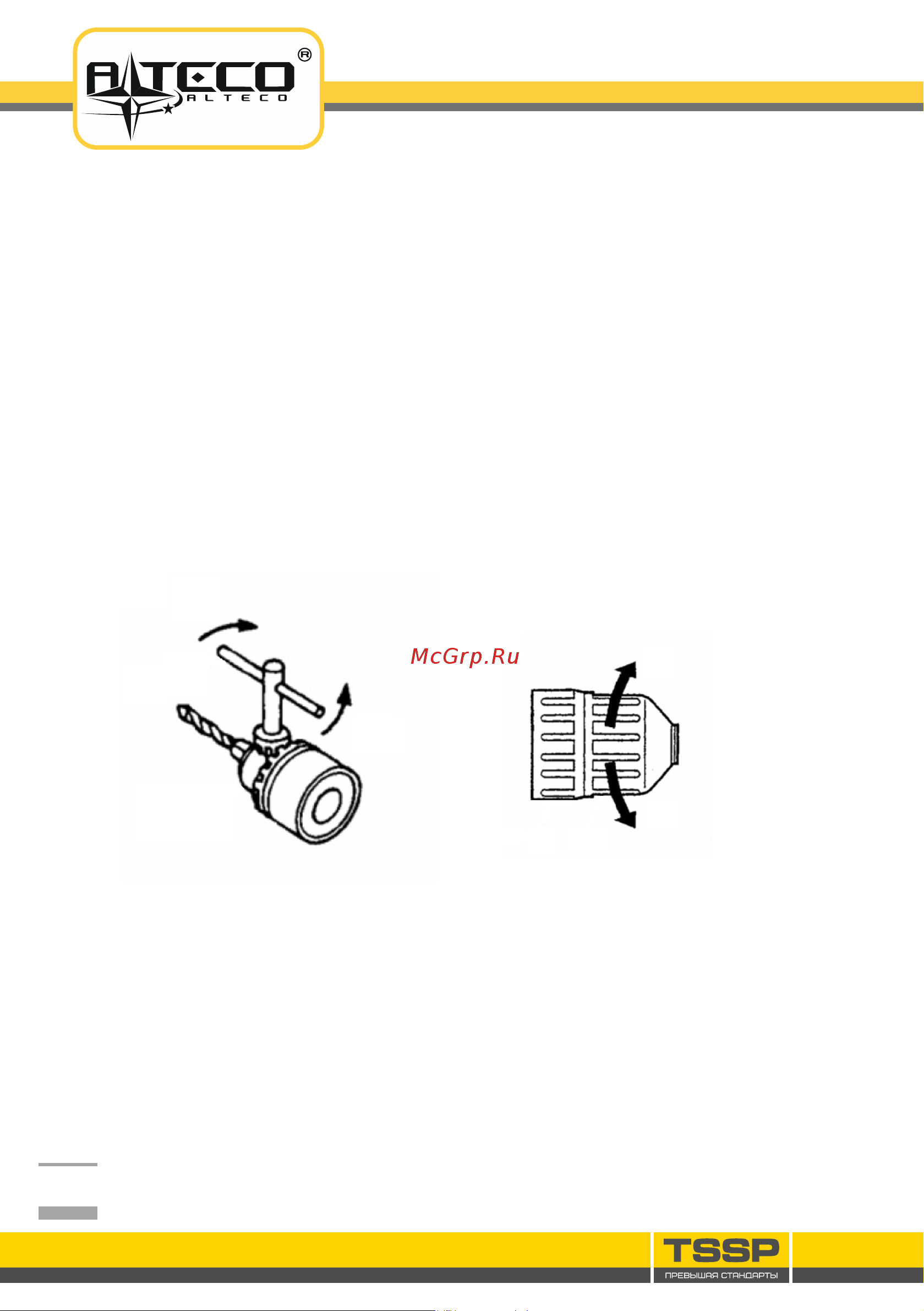 Alteco DP 800-13.1 22980 Инструкция по эксплуатации онлайн [8/16] 853169