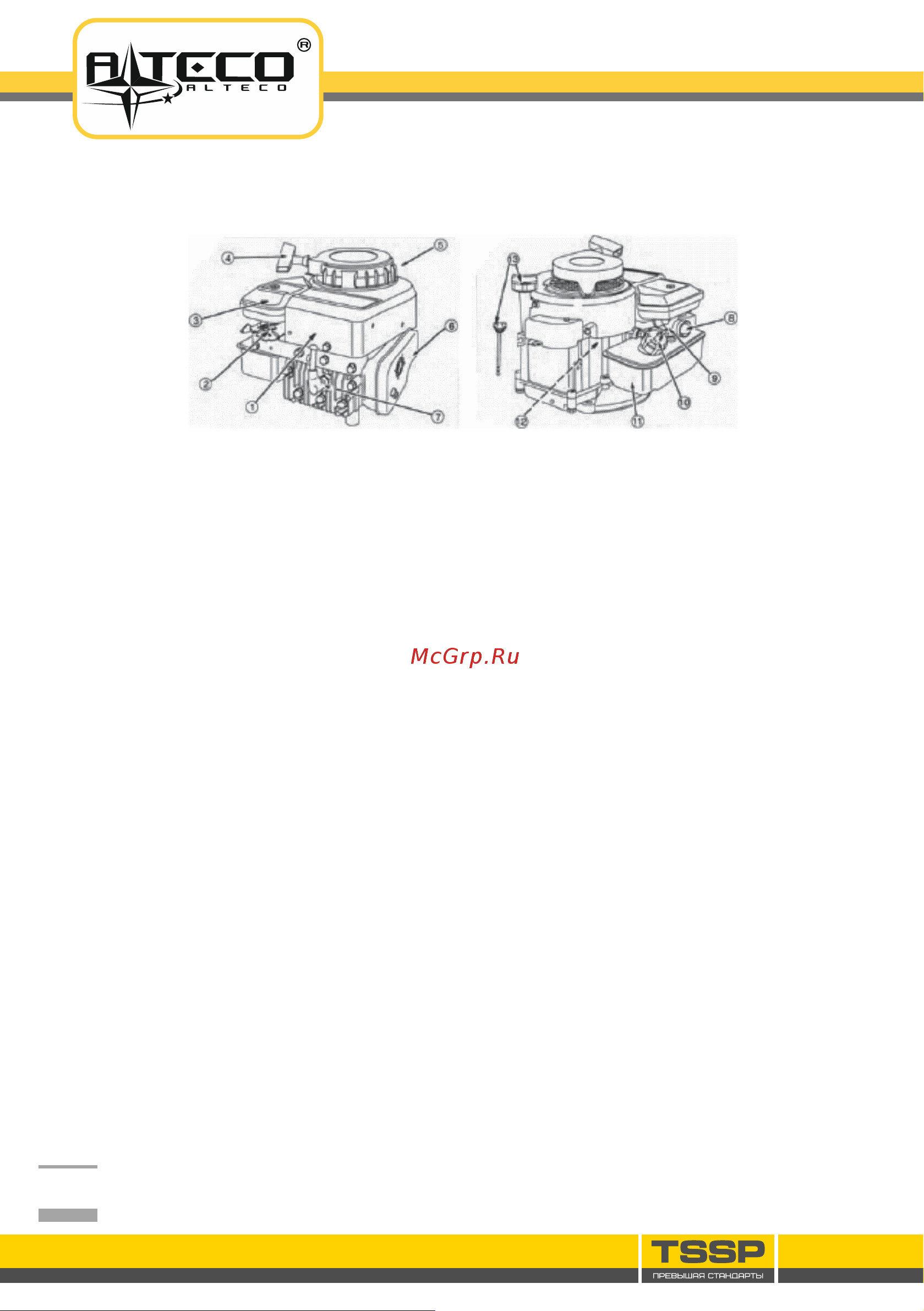 Alteco GLM 1840 Инструкция по эксплуатации онлайн [9/24] 599842
