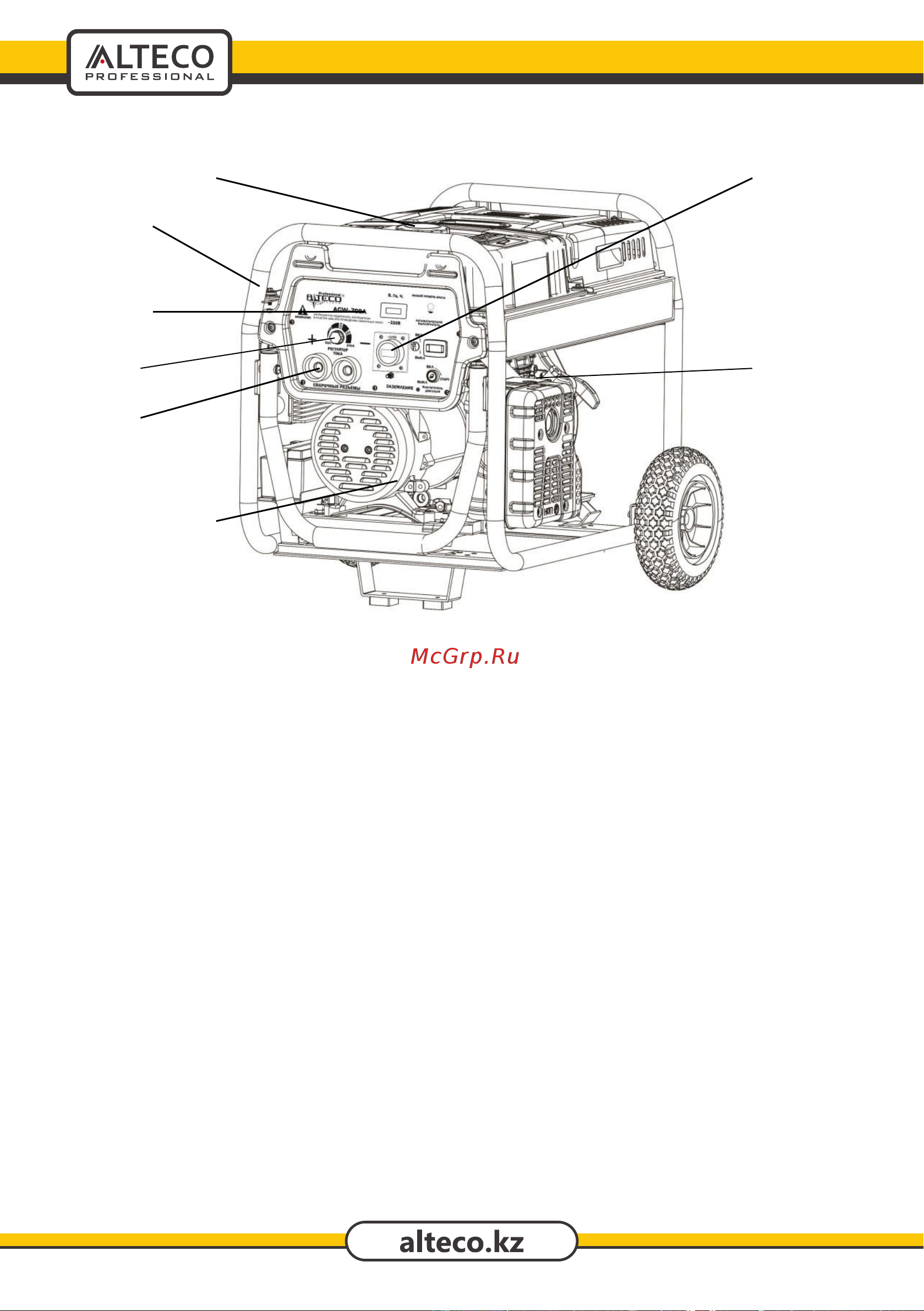 Alteco AGW-250A Инструкция по эксплуатации онлайн [12/32] 600018