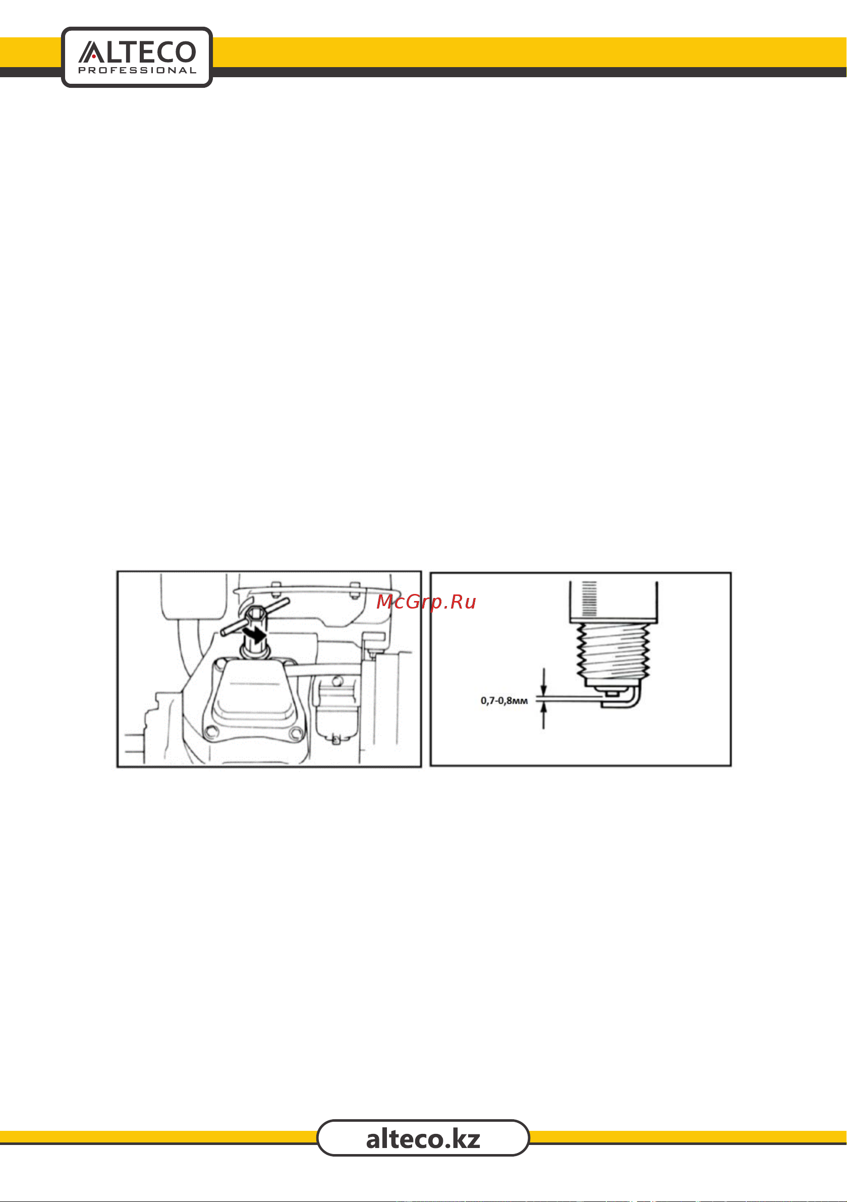 Alteco AGW-250A Инструкция по эксплуатации онлайн [24/32] 600018