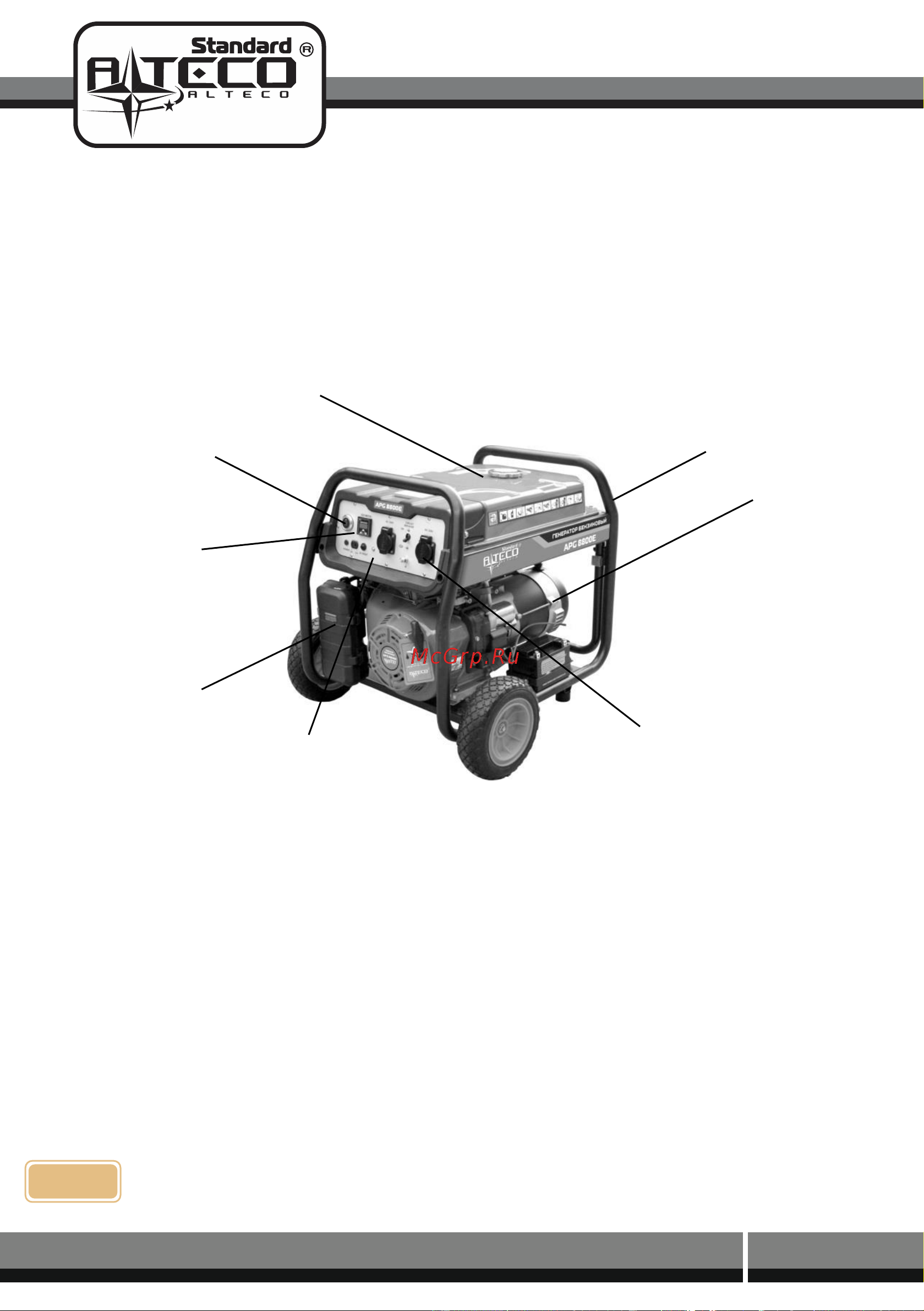 Alteco APG 9800E + ATS Инструкция по эксплуатации онлайн [11/33] 600033