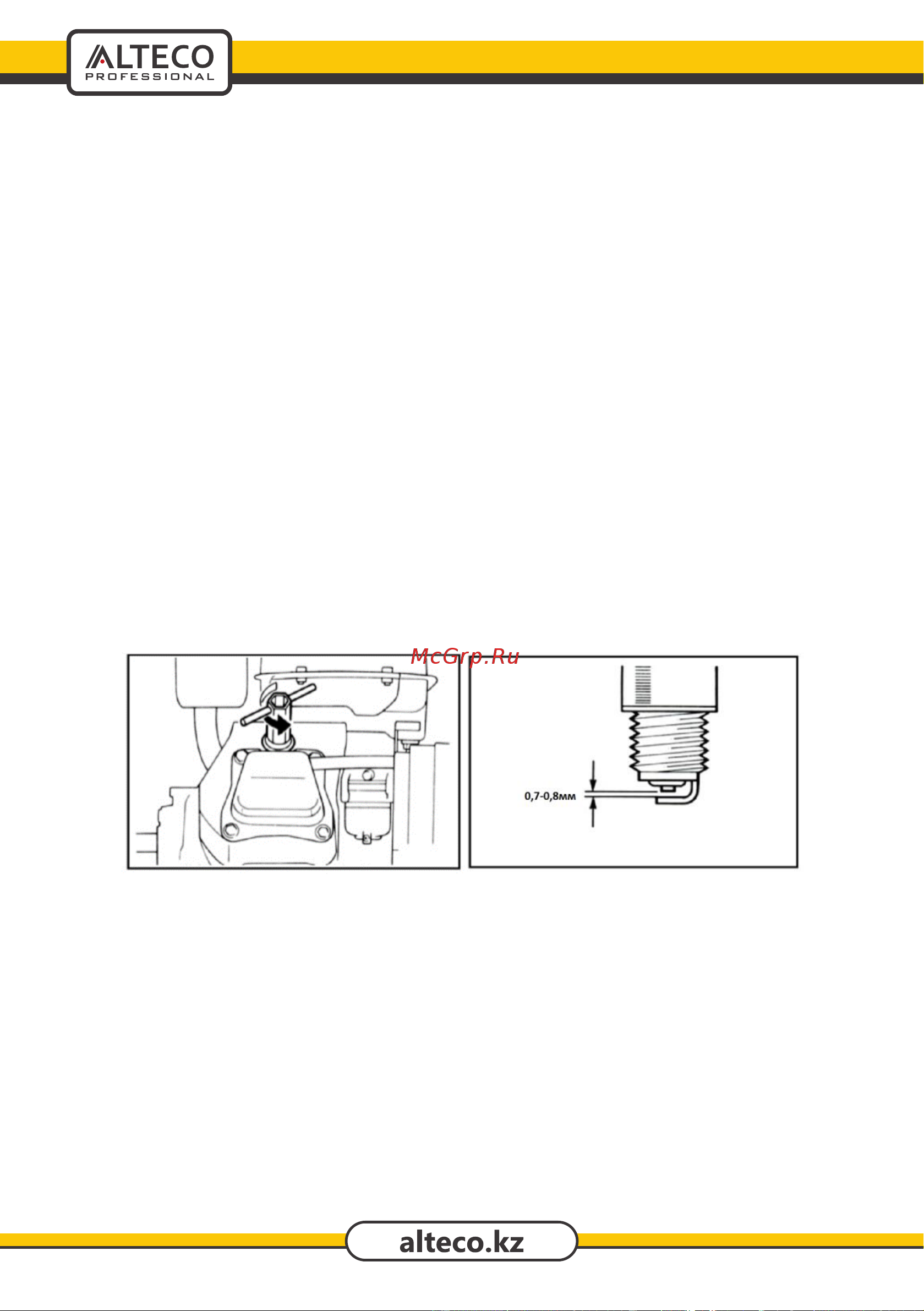Alteco AGG 8000 E2 Инструкция по эксплуатации онлайн [25/32] 600046