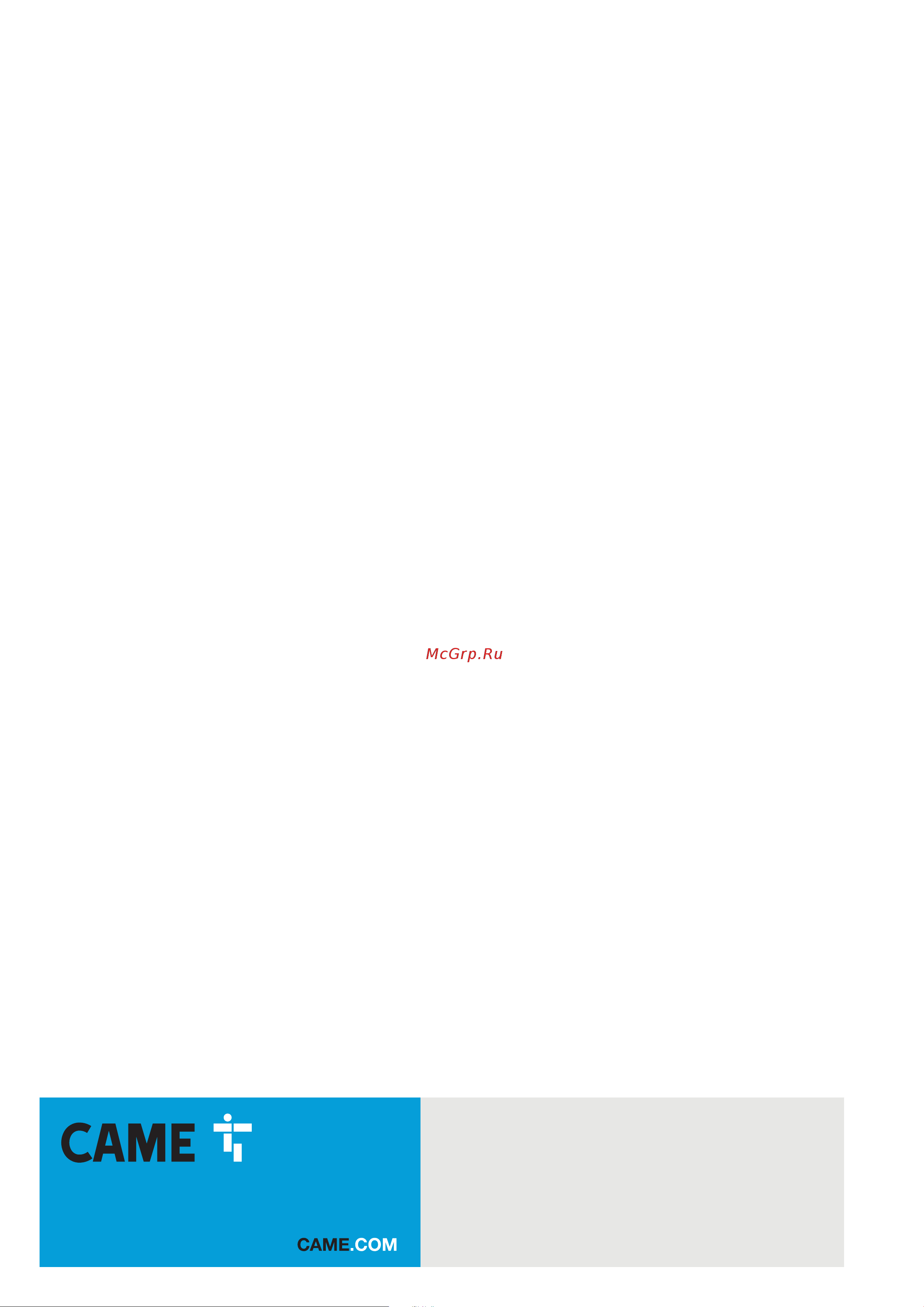 Came XVP S - IP [24/24] Came s p a