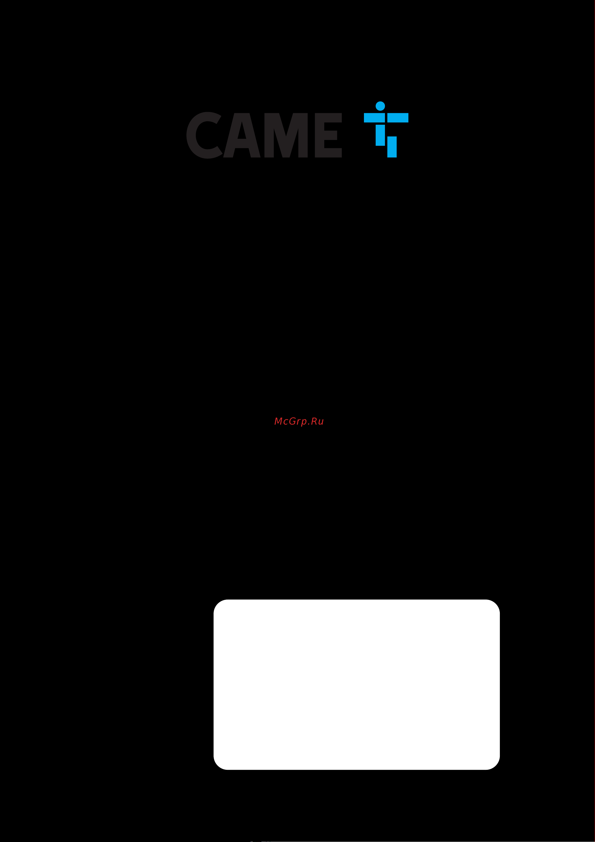 Came WING GL 001PSWNG4GLA1 [17/18] Гарантийный сертификат