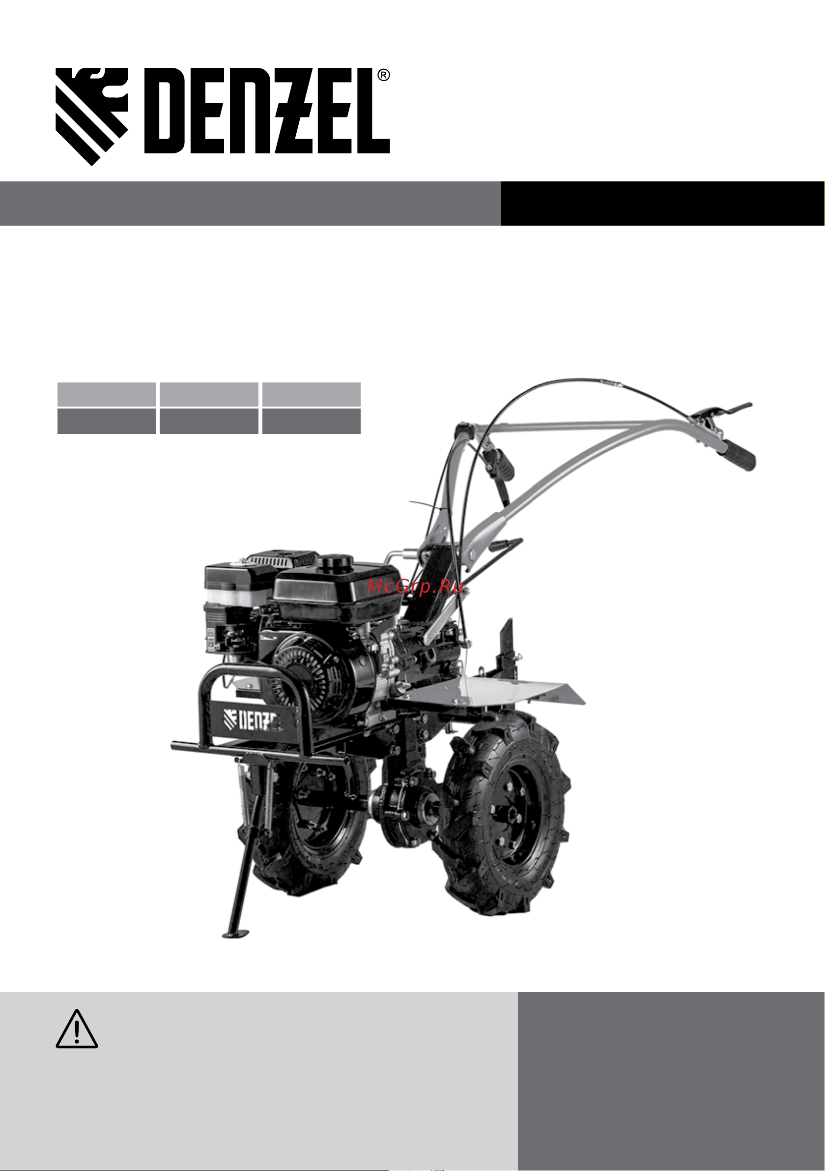 Denzel DPT-170 (56401) Инструкция по эксплуатации онлайн