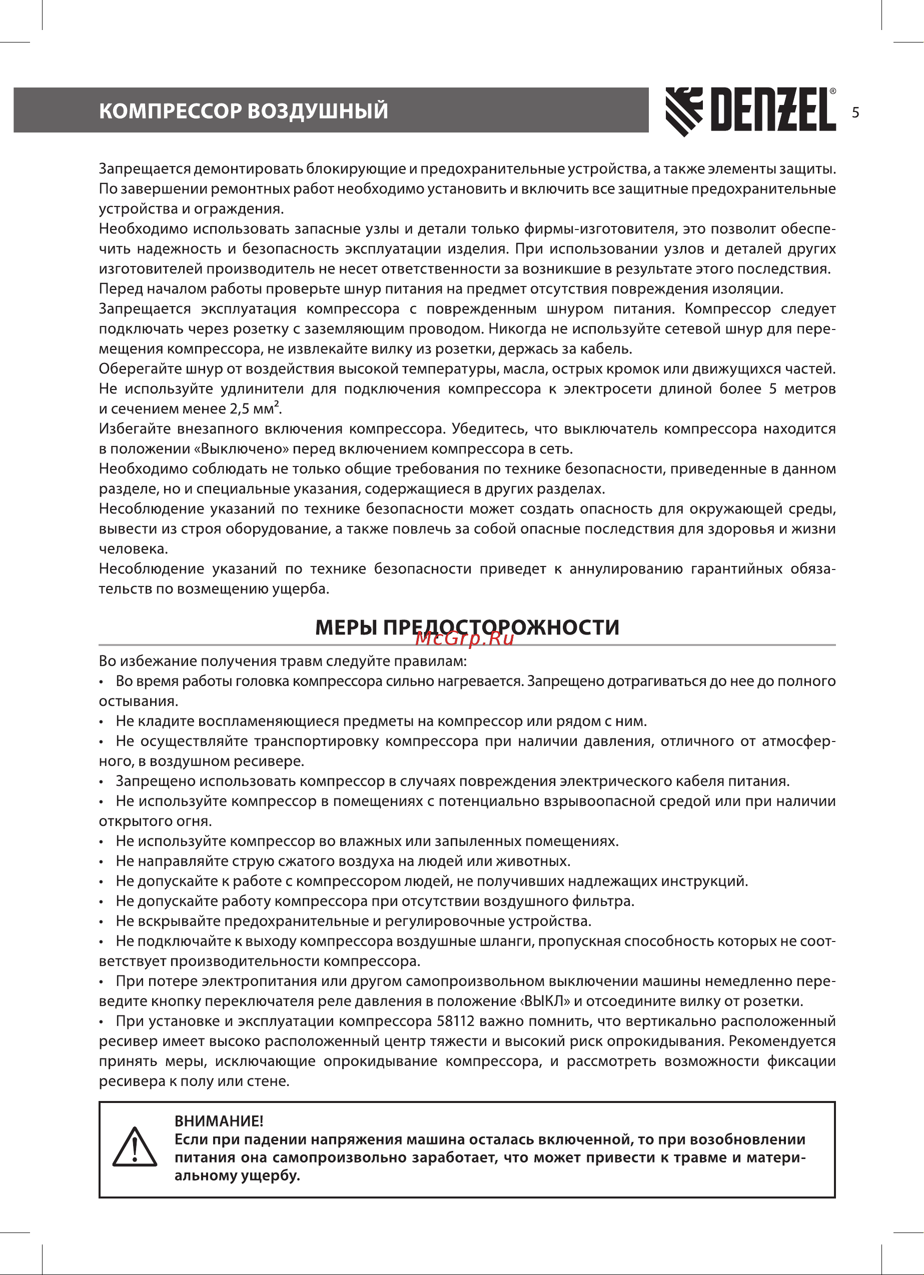 Denzel BCV2200/100V (58112) [5/20] Меры предосторожности