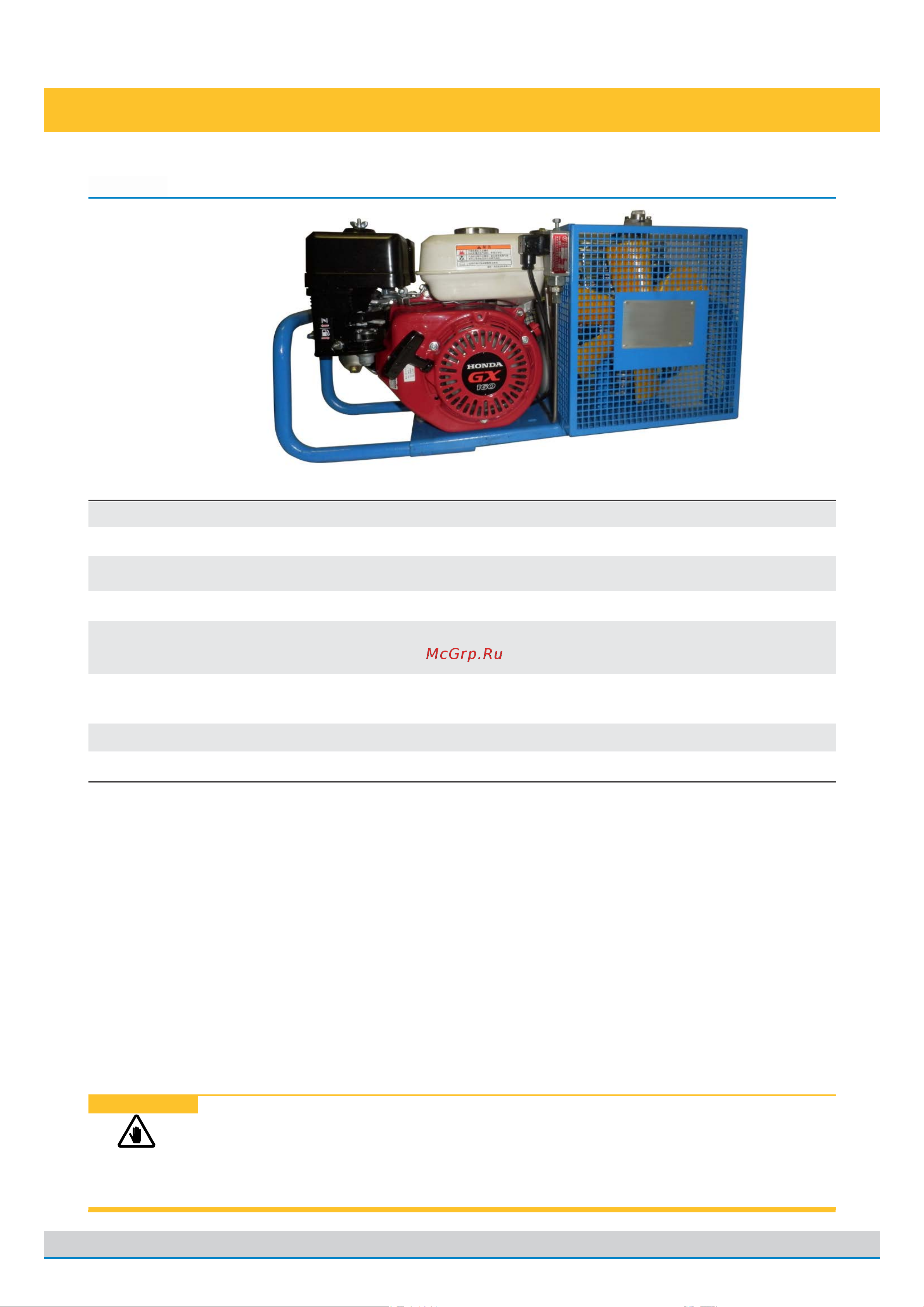 FROSP бензиновый КВД 125/300 Honda GX160 5875 Инструкция по эксплуатации онлайн [28/58] 816083