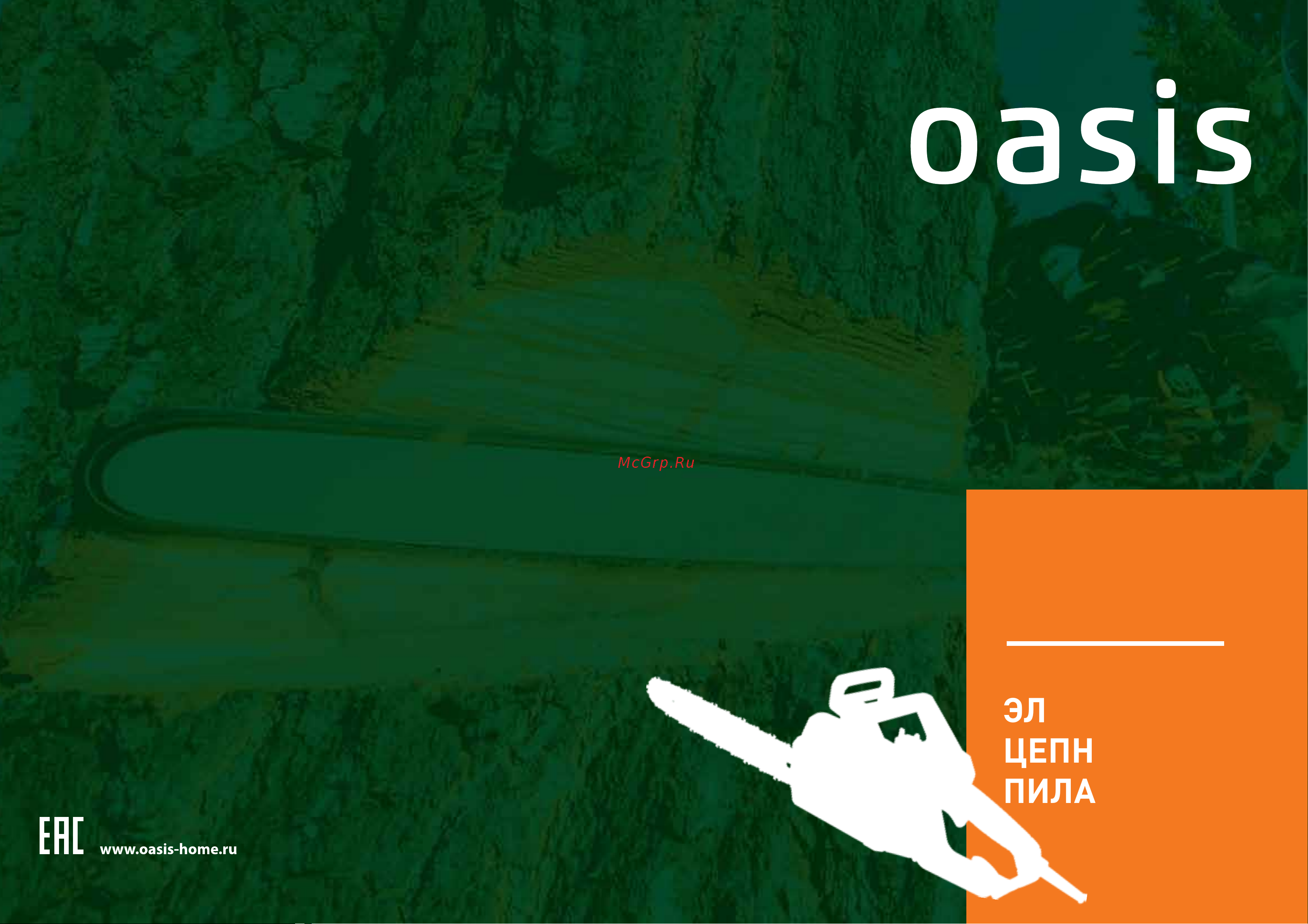 Oasis ES-24 Инструкция по эксплуатации онлайн