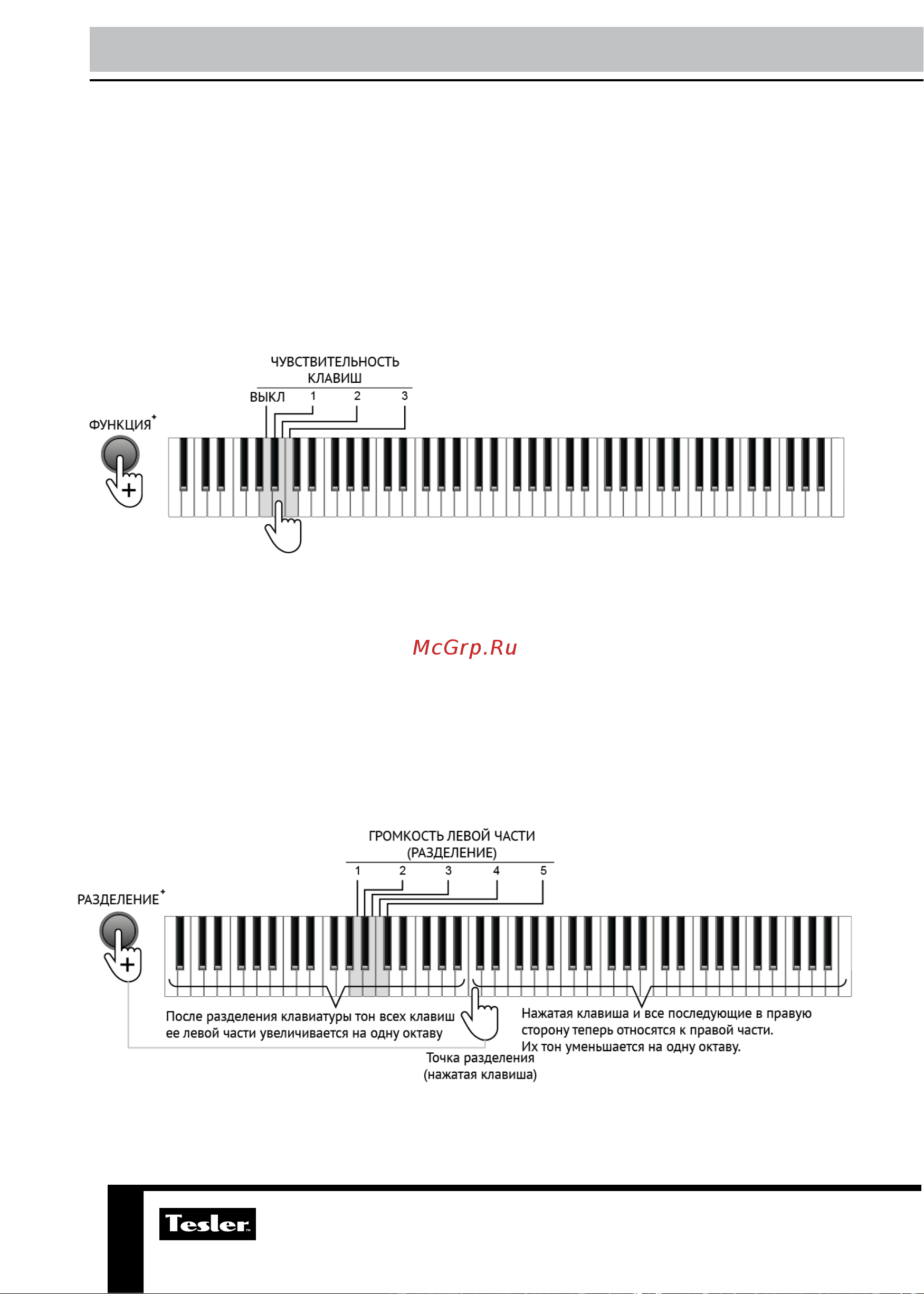 Tesler KB-8850 [14/22] Общая информация