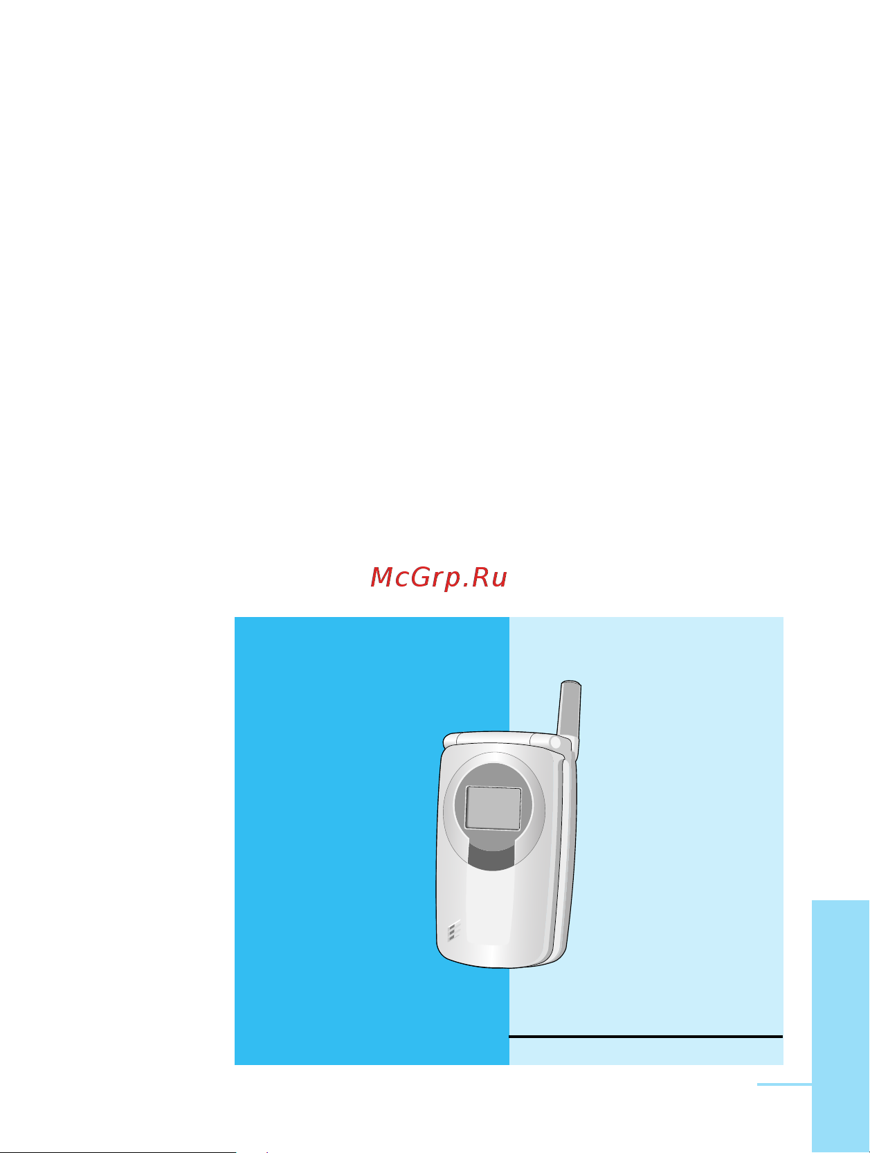 LG W7000 Инструкция по эксплуатации онлайн [5/100] 54480