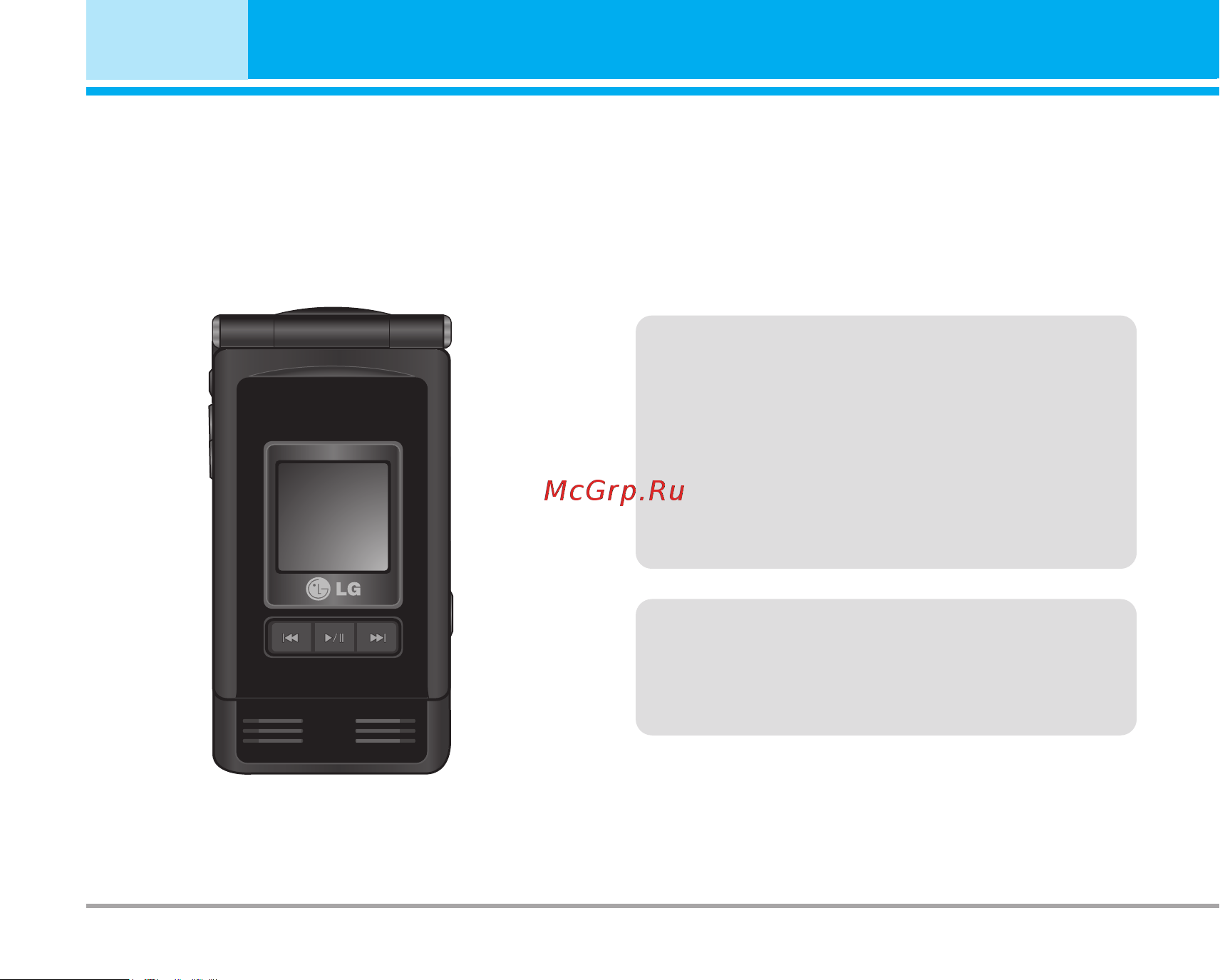 LG P7200 [5/245] Введение