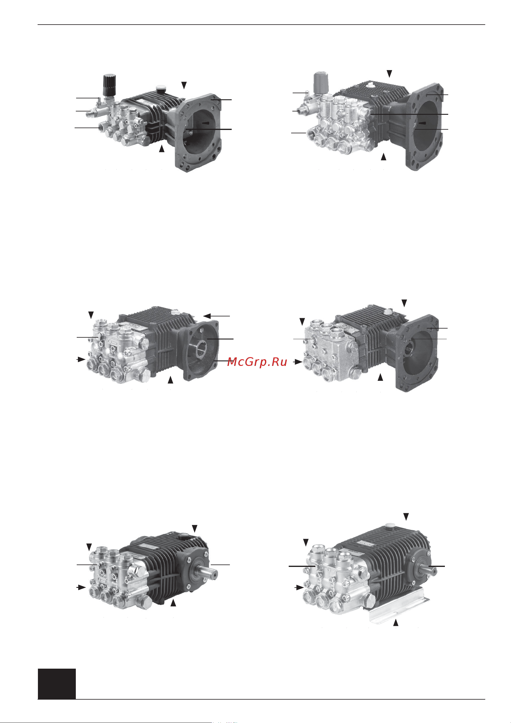 Comet LW 1009 S (3,8/60) 1450 об/мин. вал ø 24 мм [3/21] Fw fw2 hw