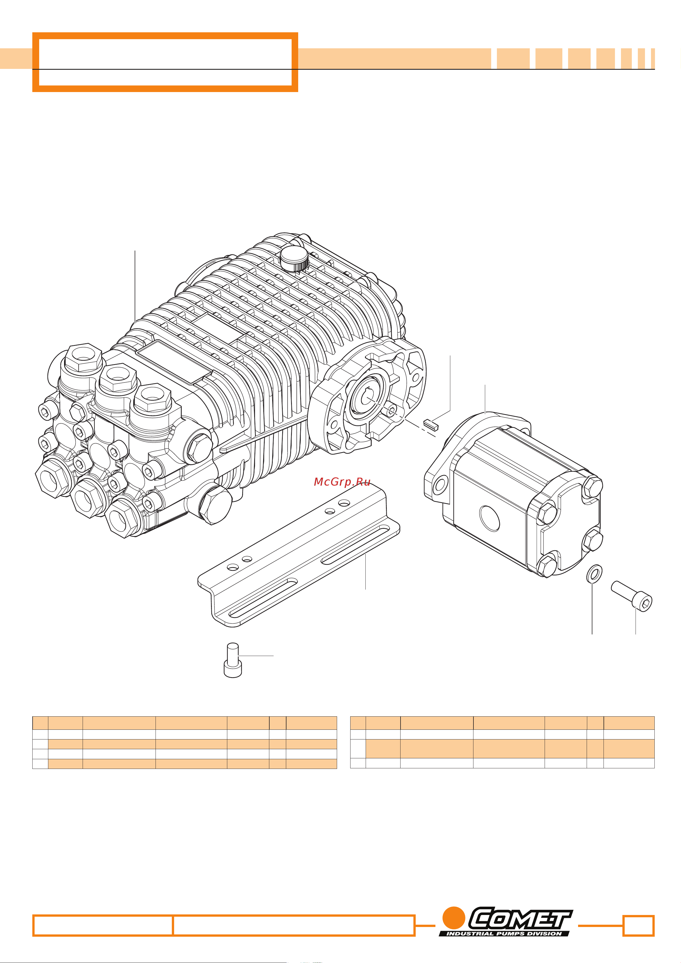 Comet MTP HYDR TW 8020 (32,9/138); 1450 об/мин. гидромотор Схема запасных частей онлайн