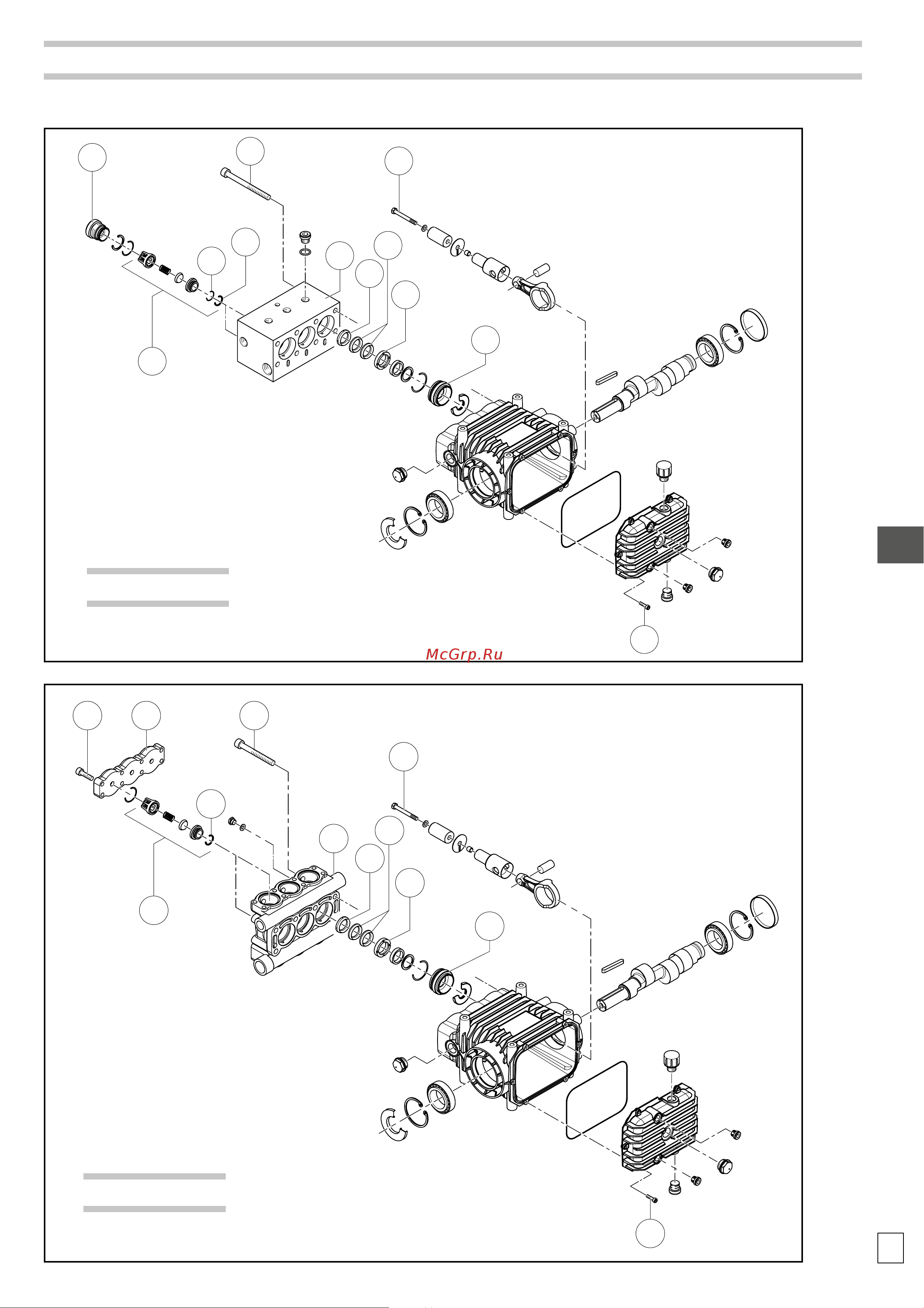 HPP CLW 80/100 (1150 об/мин) [31/84] Entretien ponctuel démontage partie hydraulique