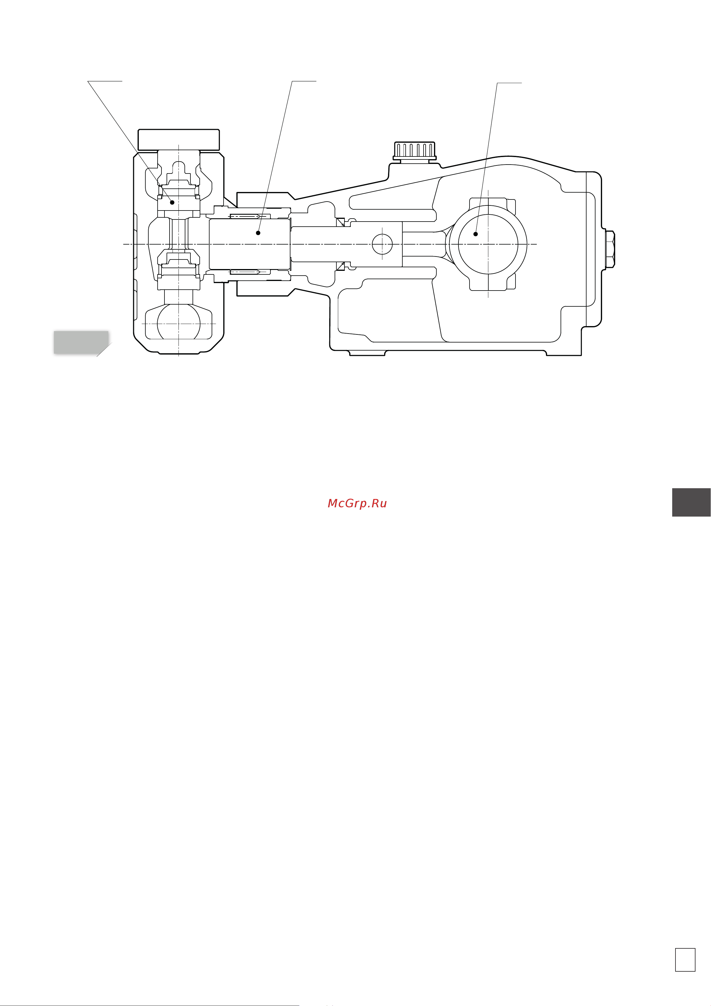 HPP ELR 122/130 (1500об/мин) [77/168] Descripción de la bomba