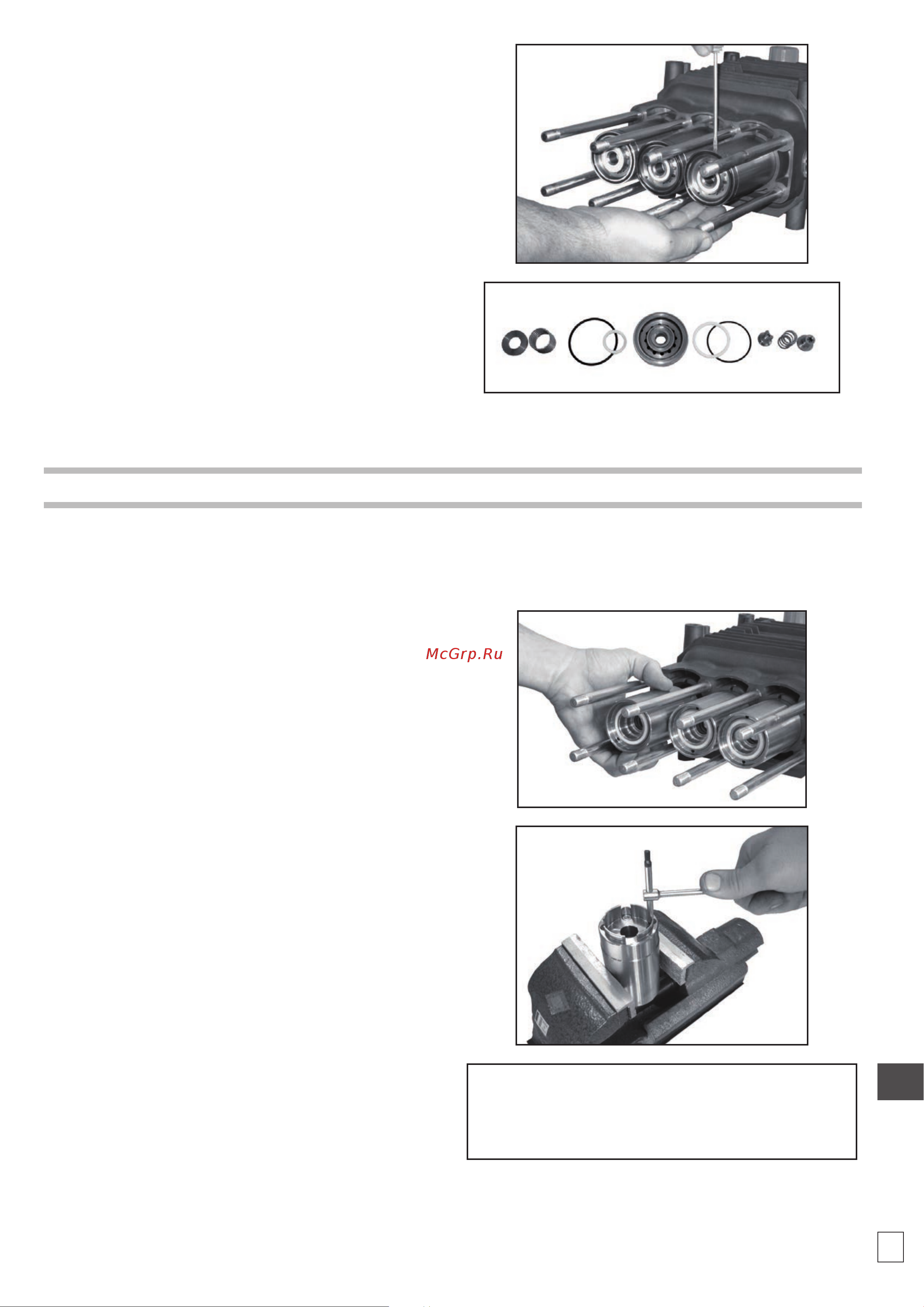 HPP CH 18/500 (1000 об/мин) [73/76] 特别保养 拆卸泵