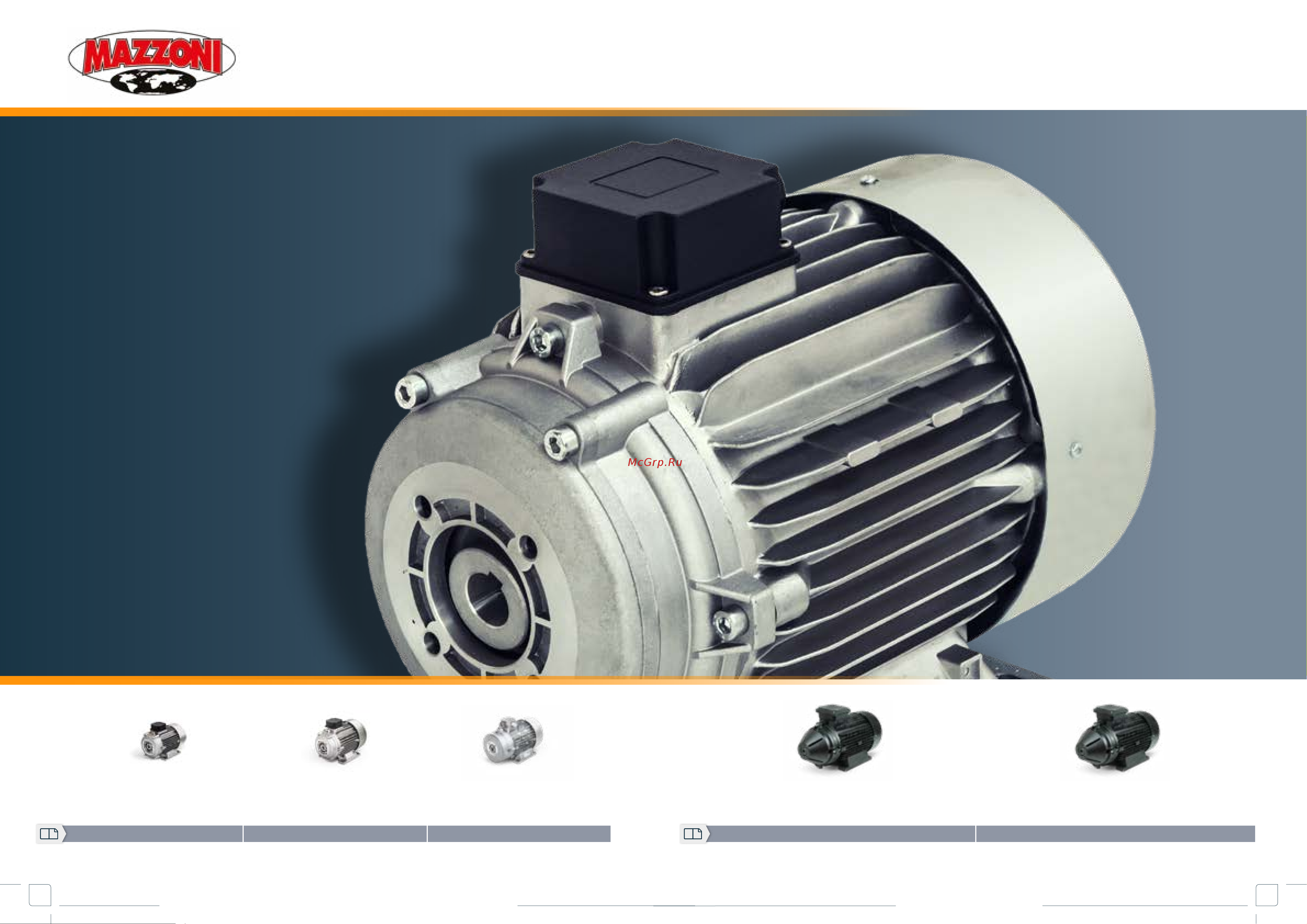 Mazzoni PM11170R [39/68] Motori elettrici electric motors