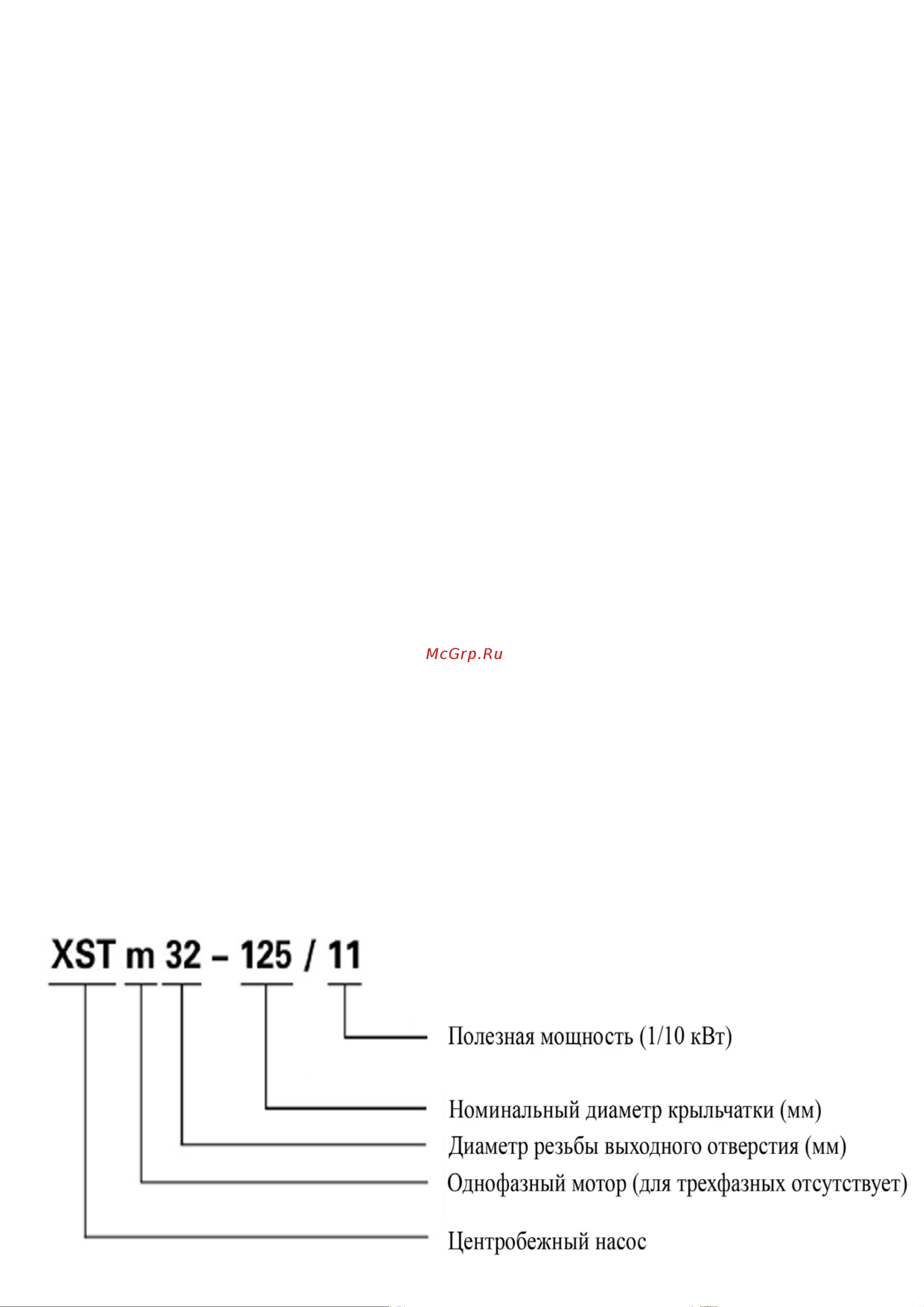 LEO XSТ65-250/300 Инструкция по эксплуатации онлайн [3/29] 614237