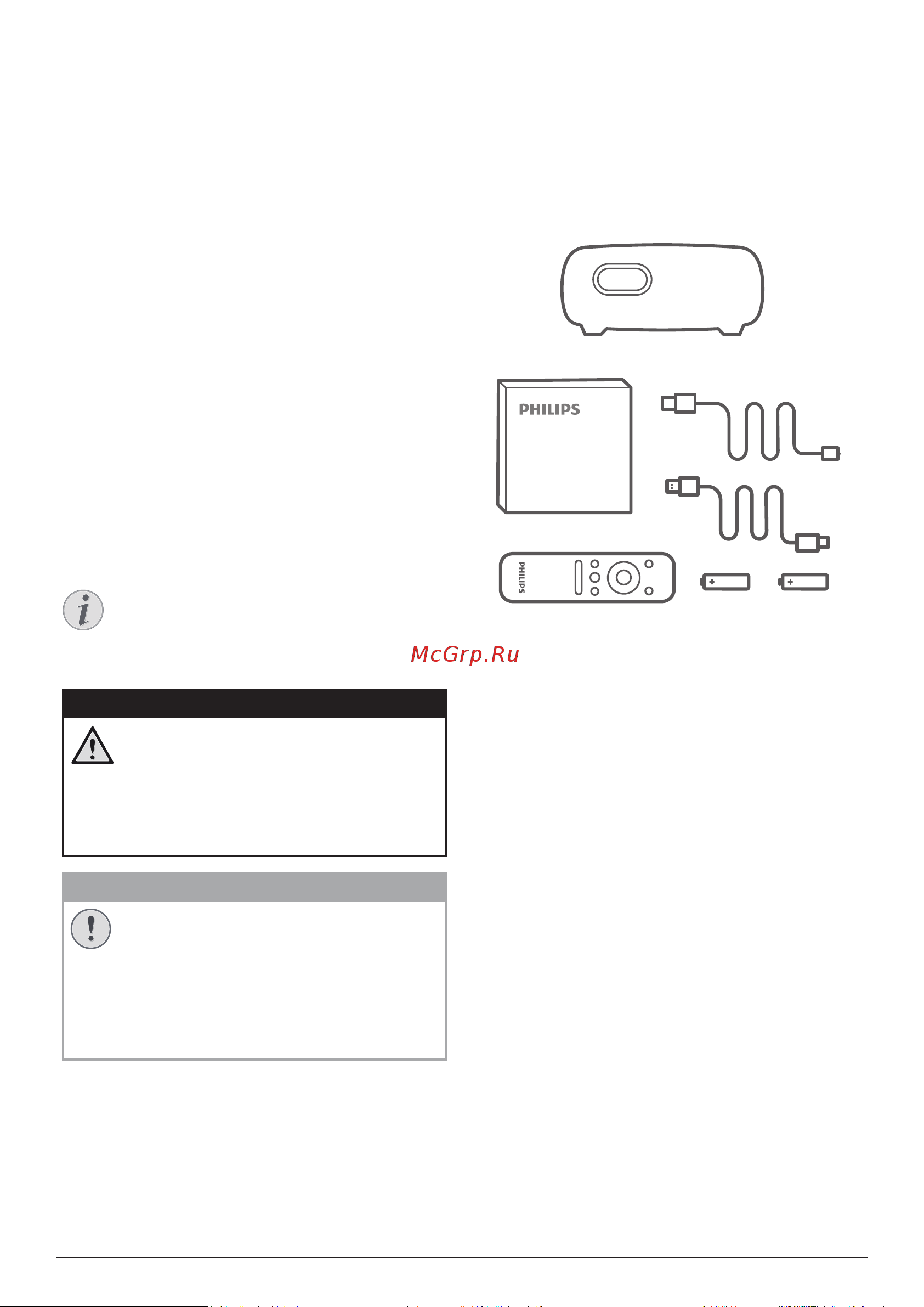 Philips PicoPix Micro+ PPX325/INT [3/20] Введение