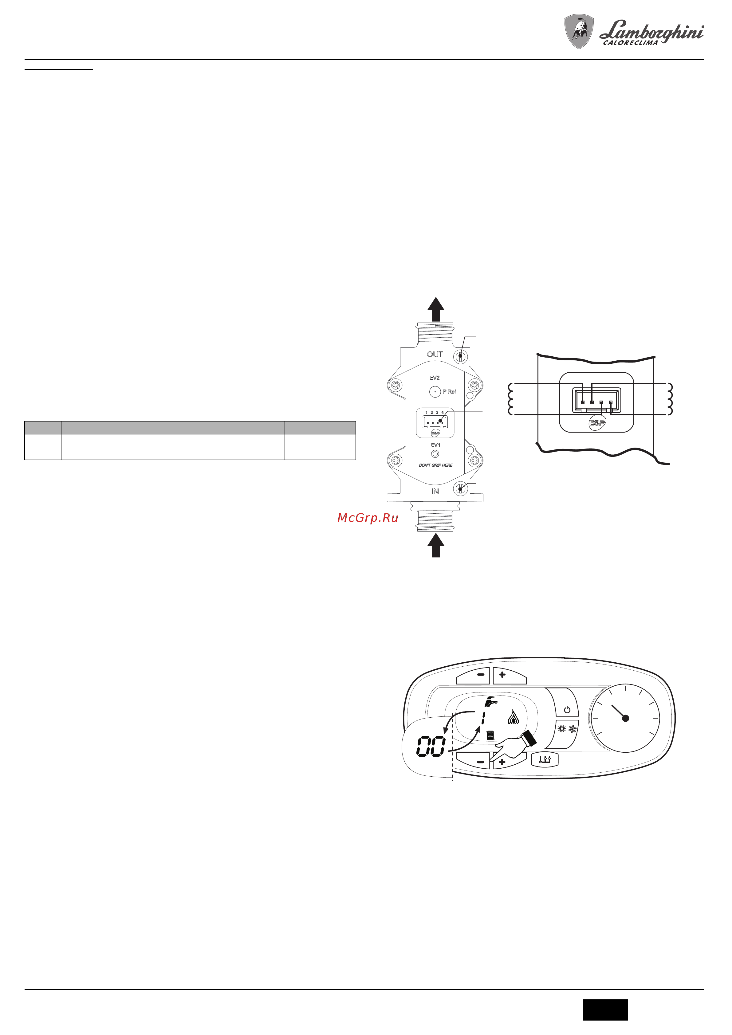 Lamborghini FL D 24F [5/28] Fl d c