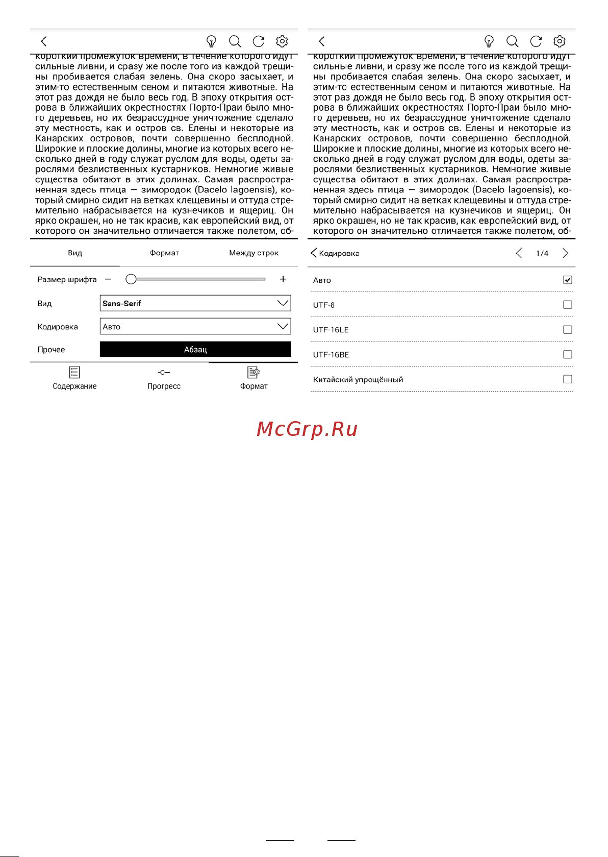 Onyx BOOX Faust 3 [123/215] Масштабирование