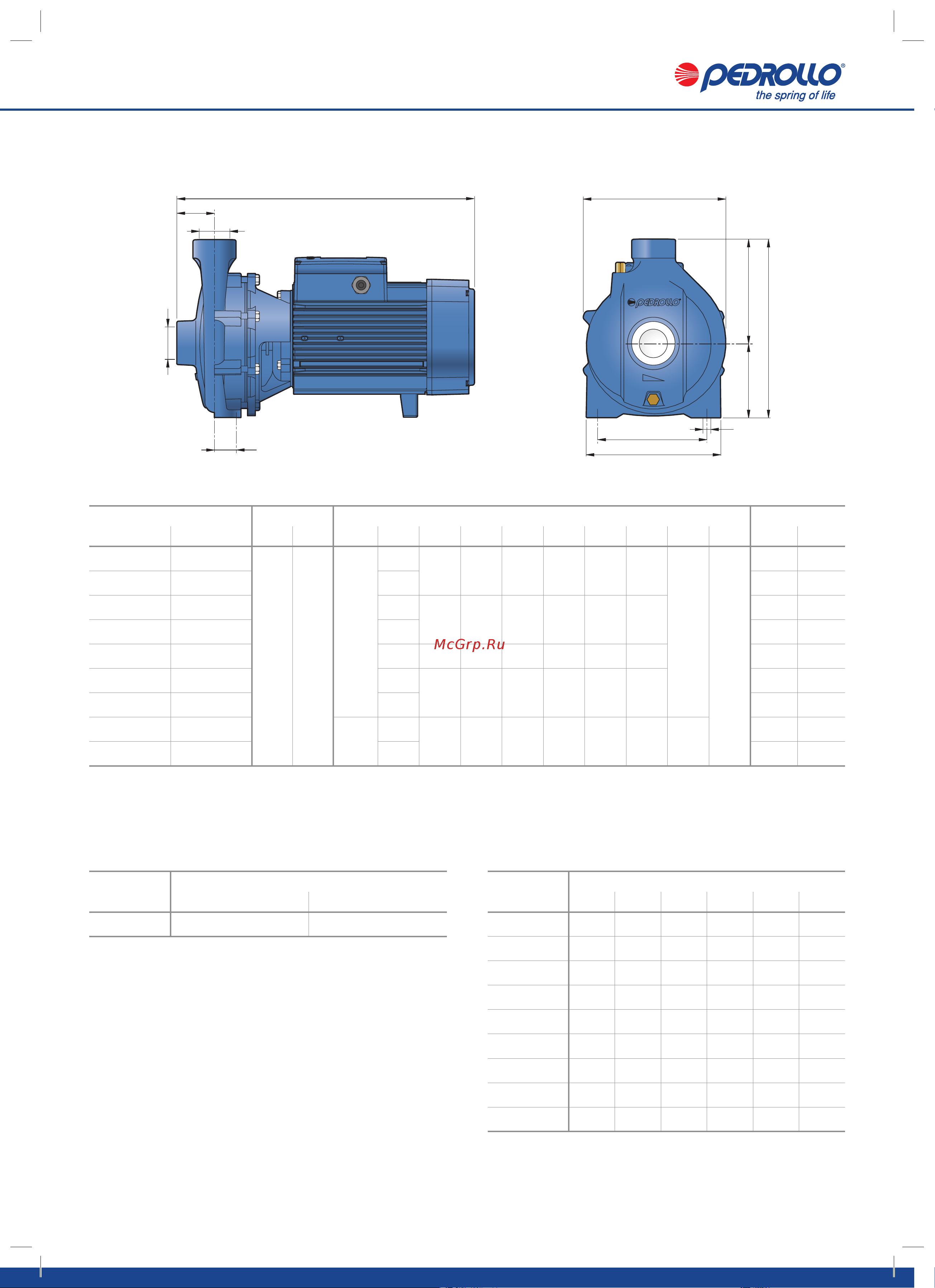 Pedrollo CP 160B [10/10] Размеры и вес