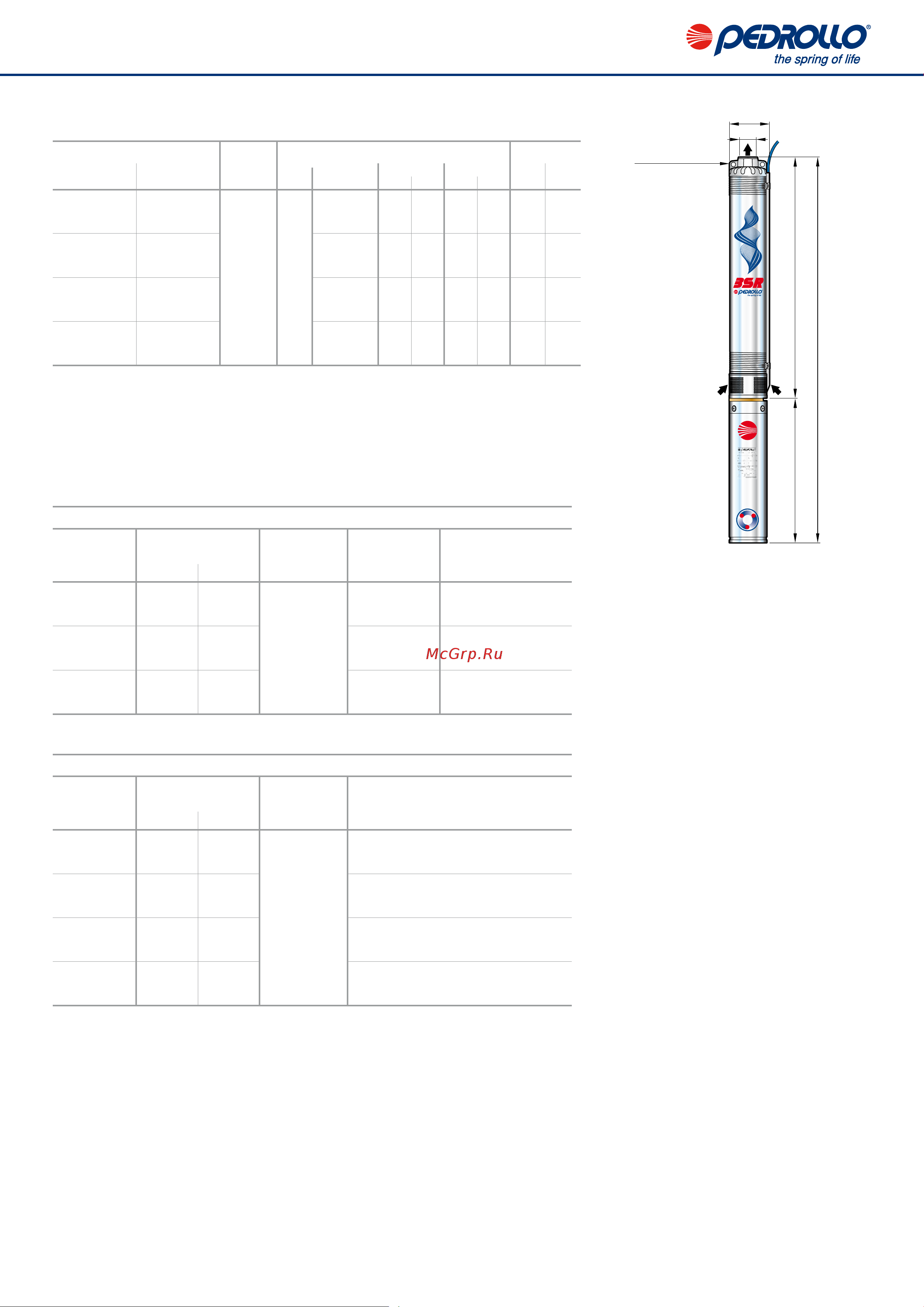 Pedrollo 3SRm 2/21 [4/4] Однофазная версия