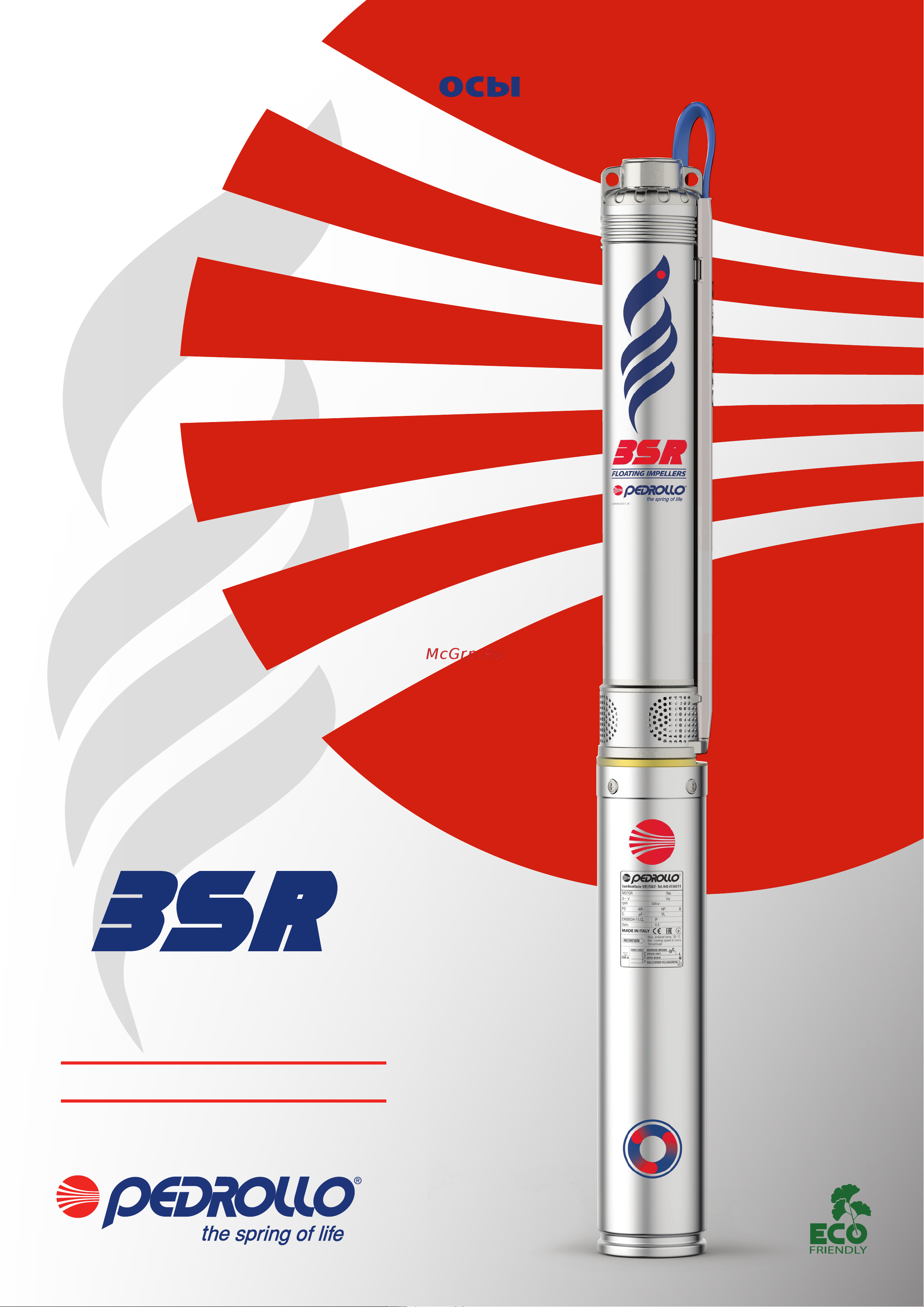 Pedrollo 3SR 2/41 Технический паспорт онлайн