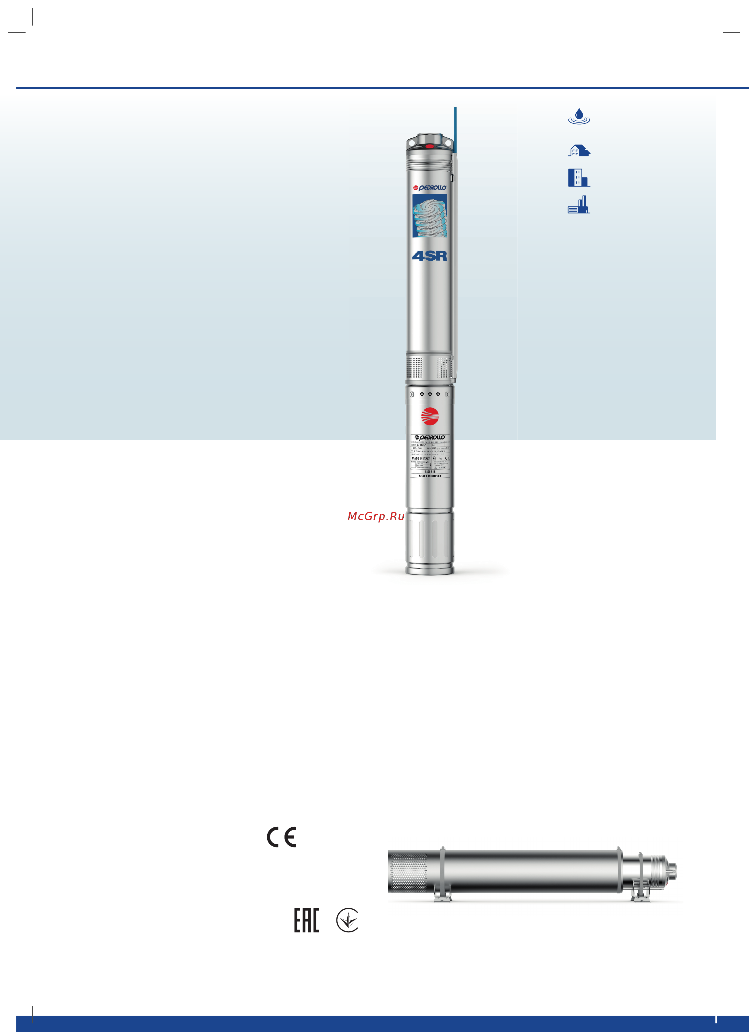 Pedrollo 4SR 6/09 - PS Технический паспорт онлайн