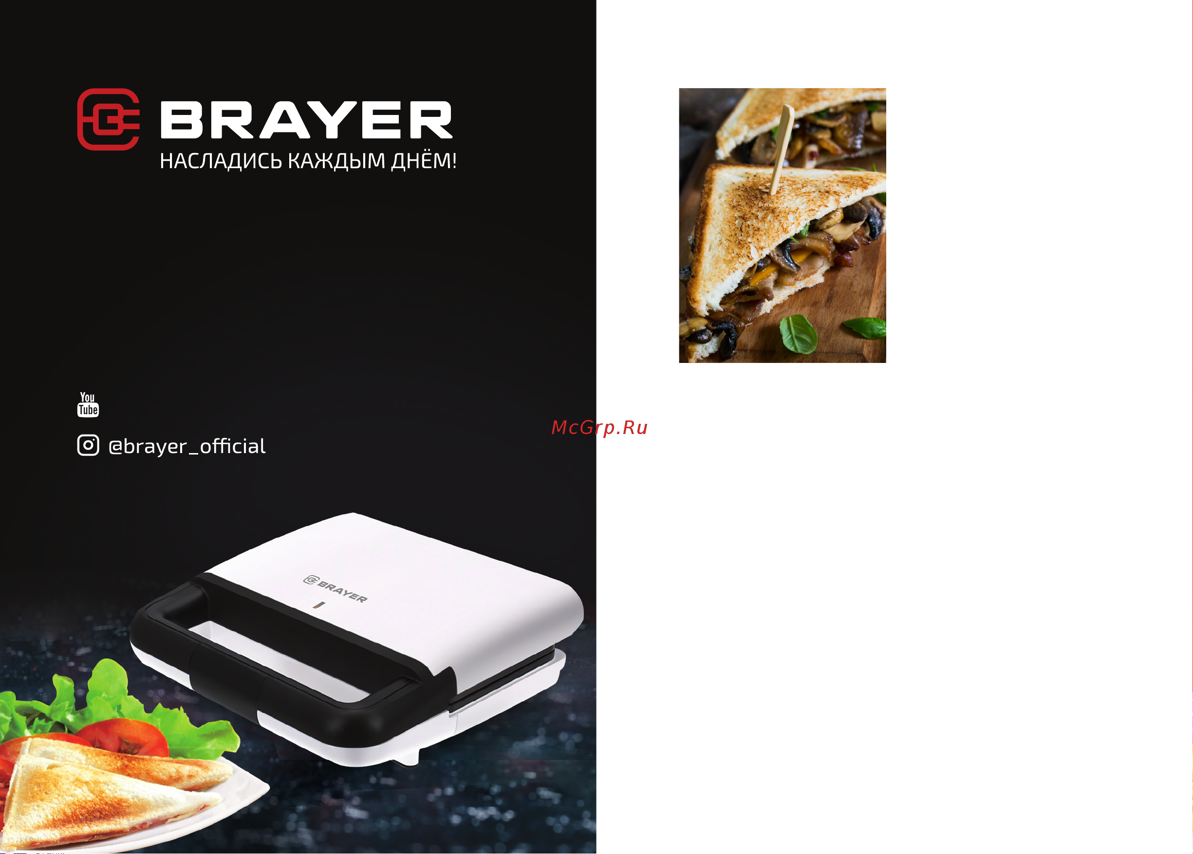 Brayer BR2201 Книга рецептов онлайн