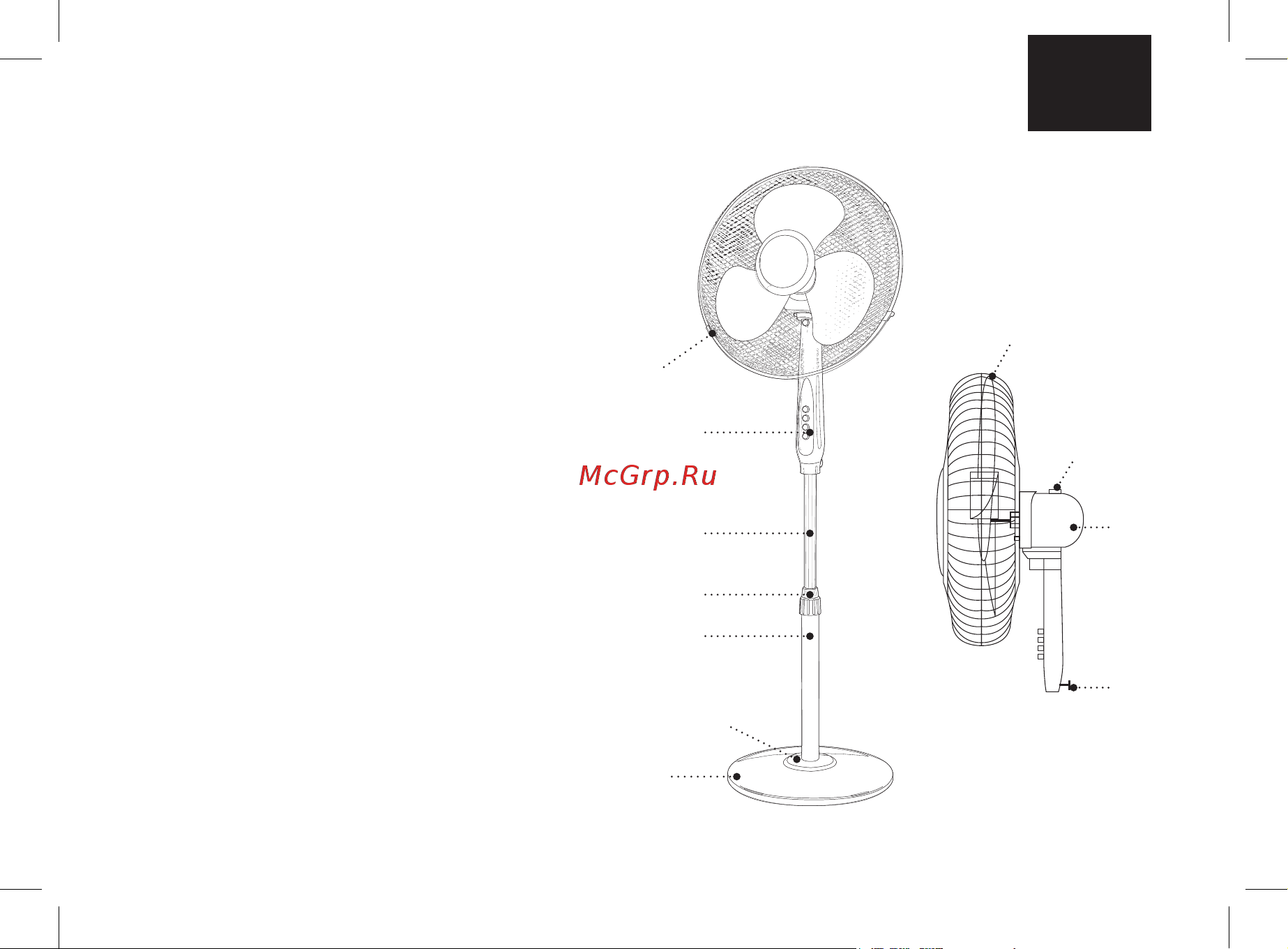 Brayer BR4961 [3/0] Description
