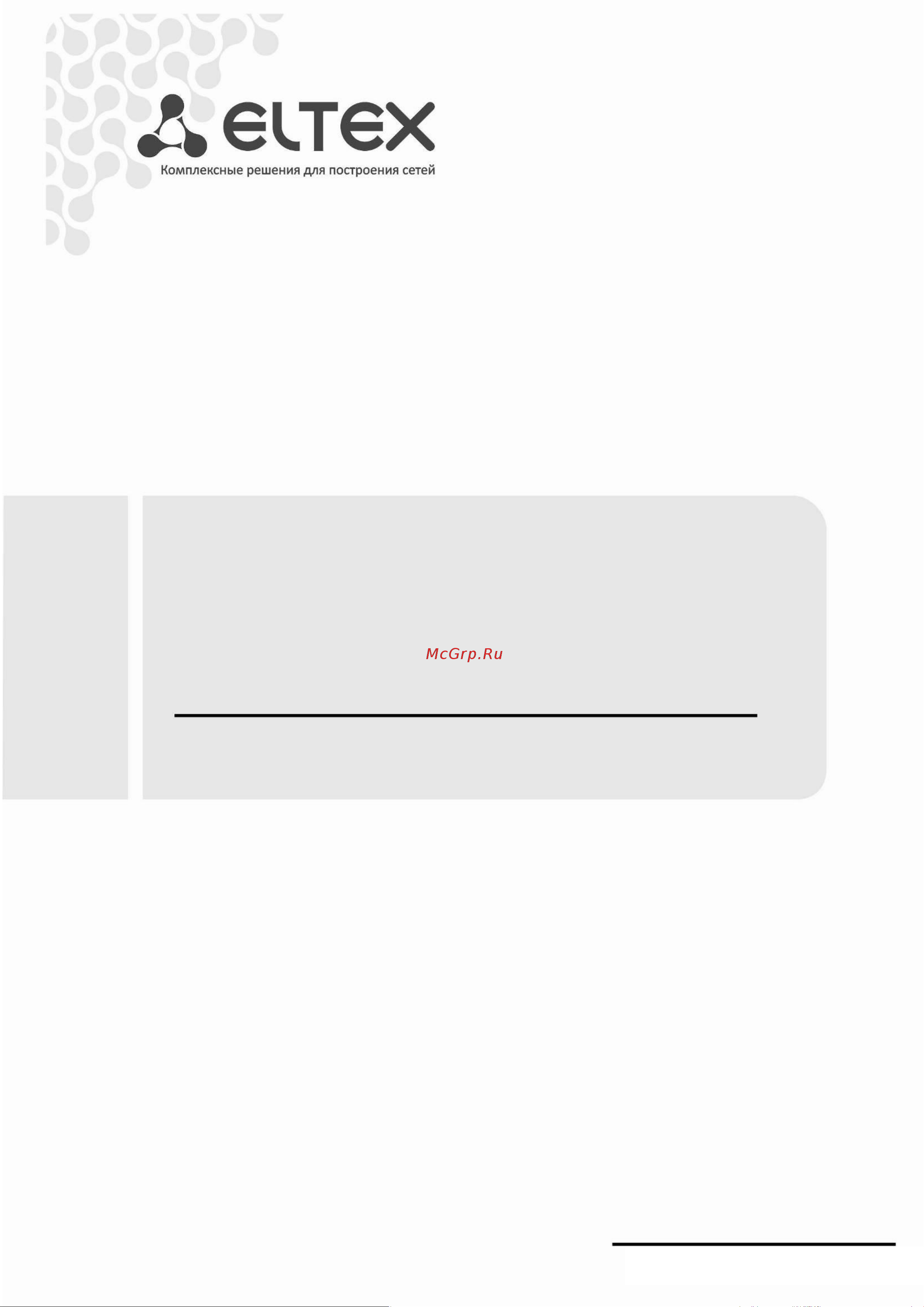 Eltex ToPGATE-SFP-1Е1 Руководство по эксплуатации онлайн