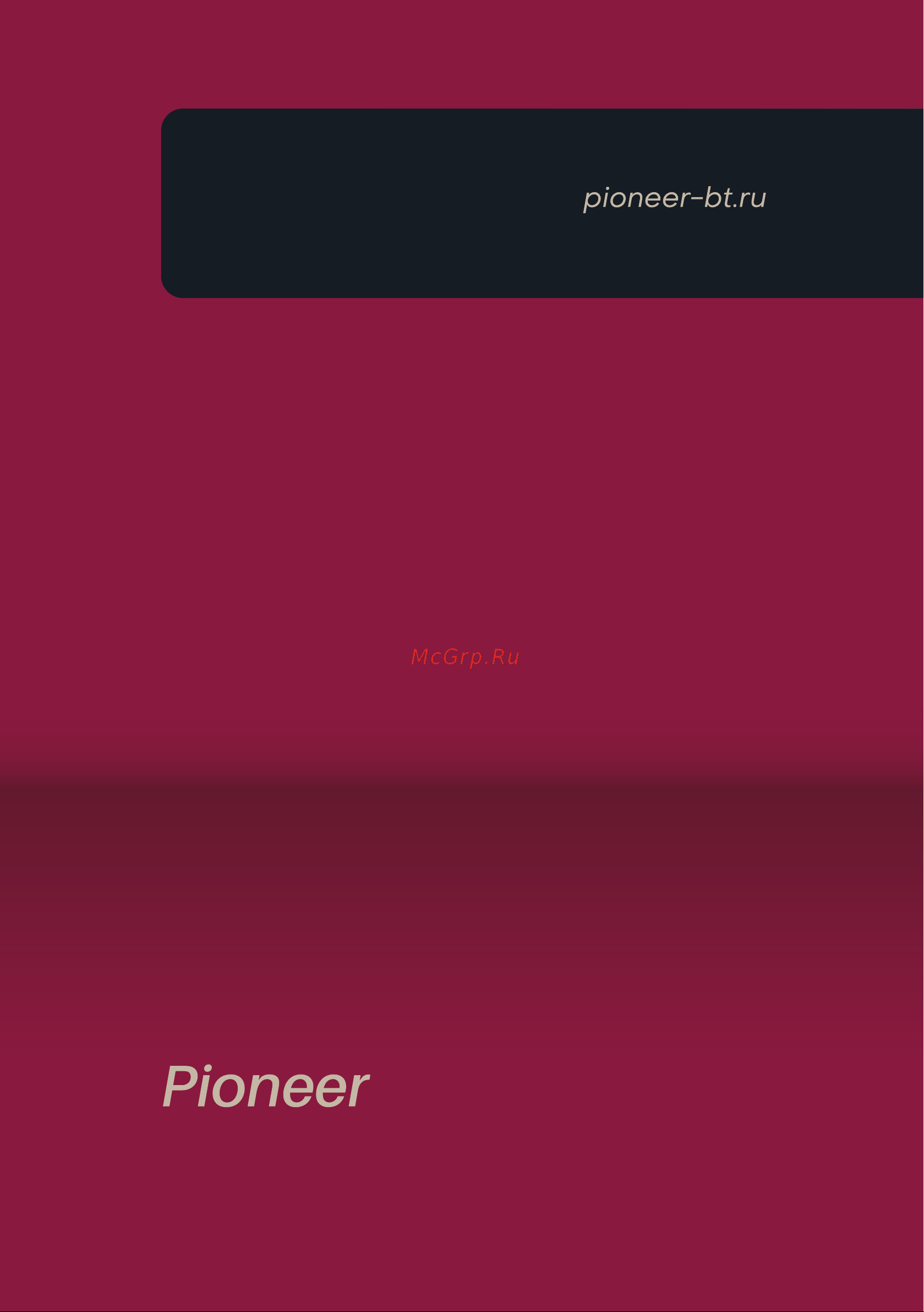 Pioneer 397696 [29/29] Pioneer